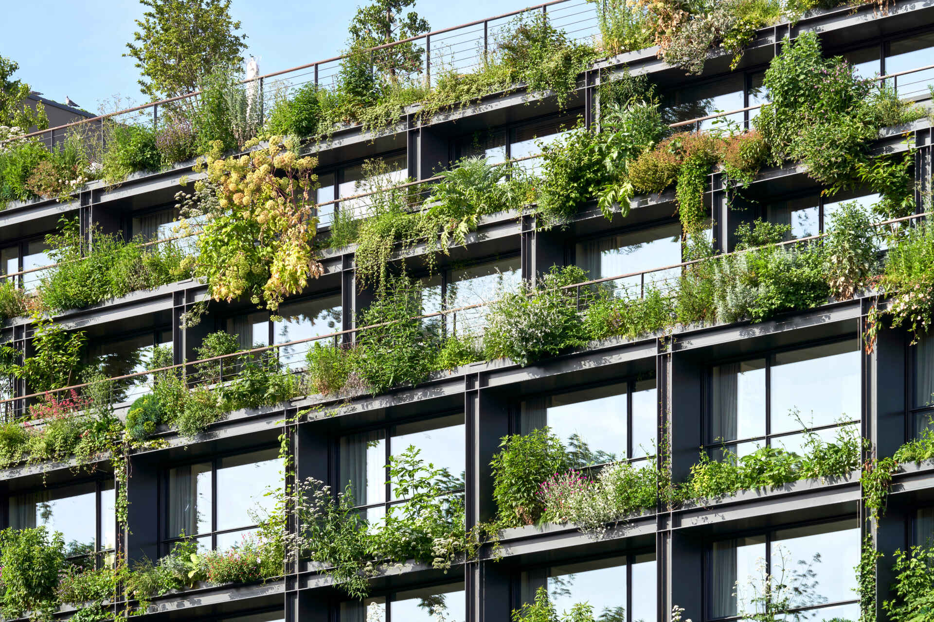 A striking vertical garden wraps the entire façade of Villa M in Paris, transforming the building into a living, breathing ecosystem. Designed as an exoskeleton of greenery, it blends architecture and nature in a bold vision for urban sustainability.