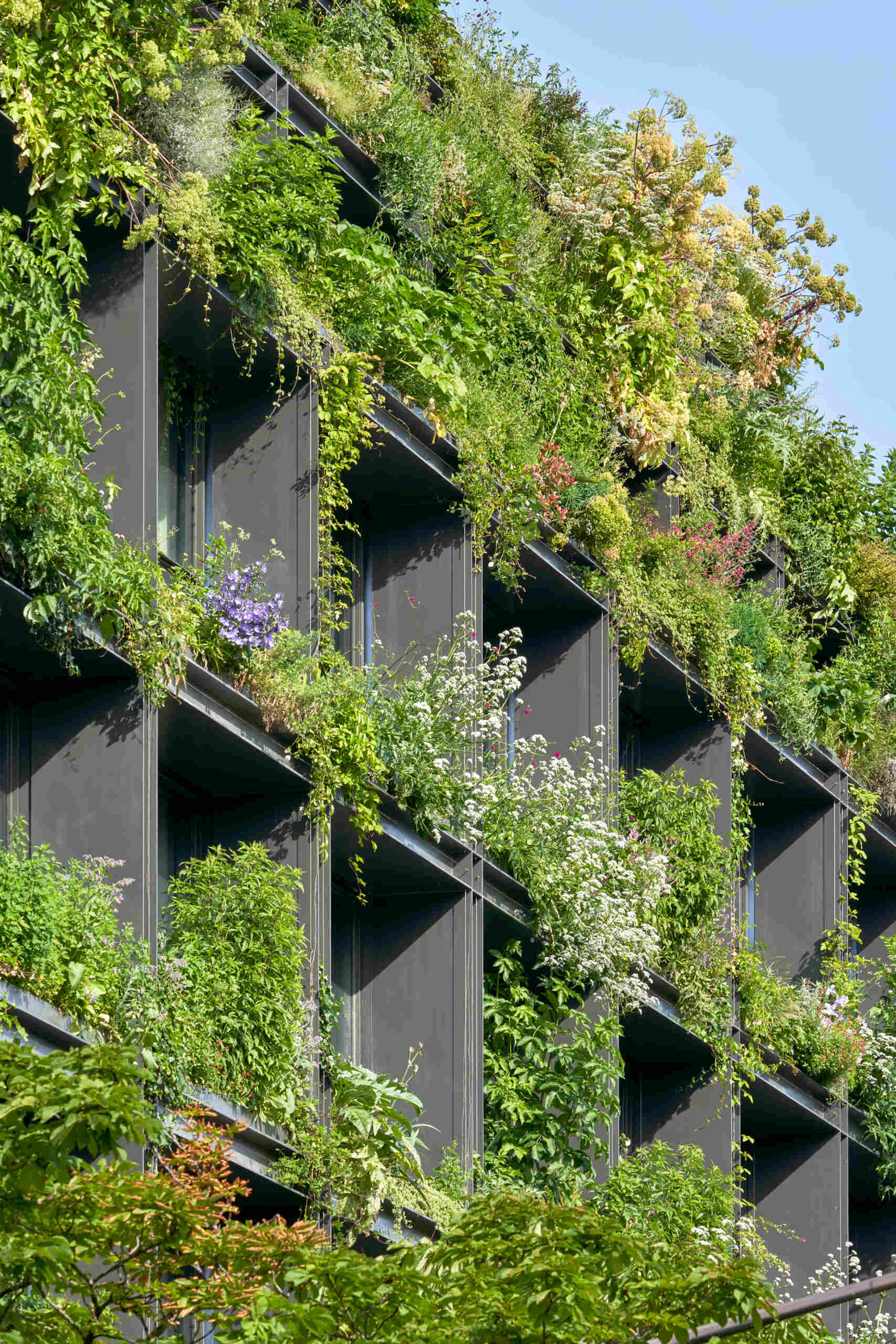 A striking vertical garden wraps the entire façade of Villa M in Paris, transforming the building into a living, breathing ecosystem. Designed as an exoskeleton of greenery, it blends architecture and nature in a bold vision for urban sustainability.