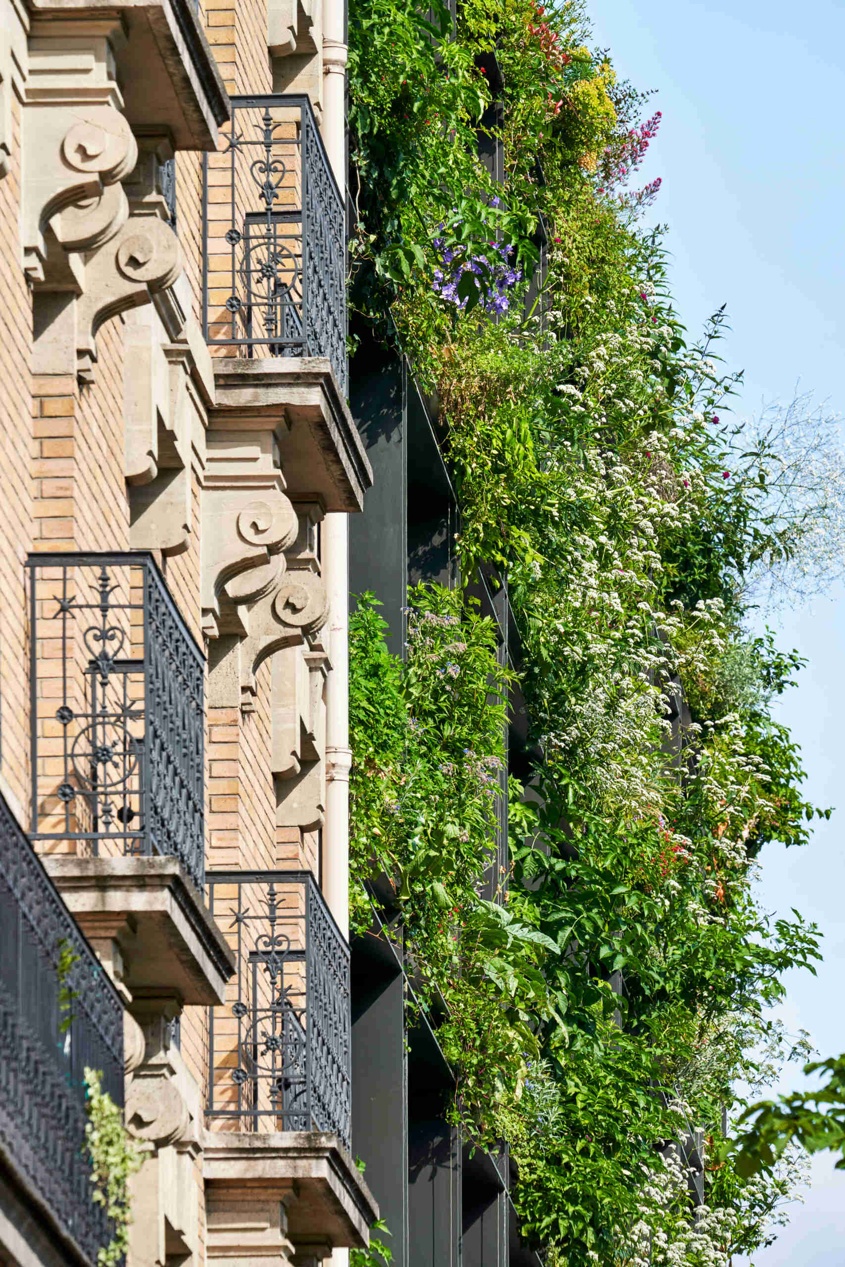 A striking vertical garden wraps the entire façade of Villa M in Paris, transforming the building into a living, breathing ecosystem. Designed as an exoskeleton of greenery, it blends architecture and nature in a bold vision for urban sustainability.