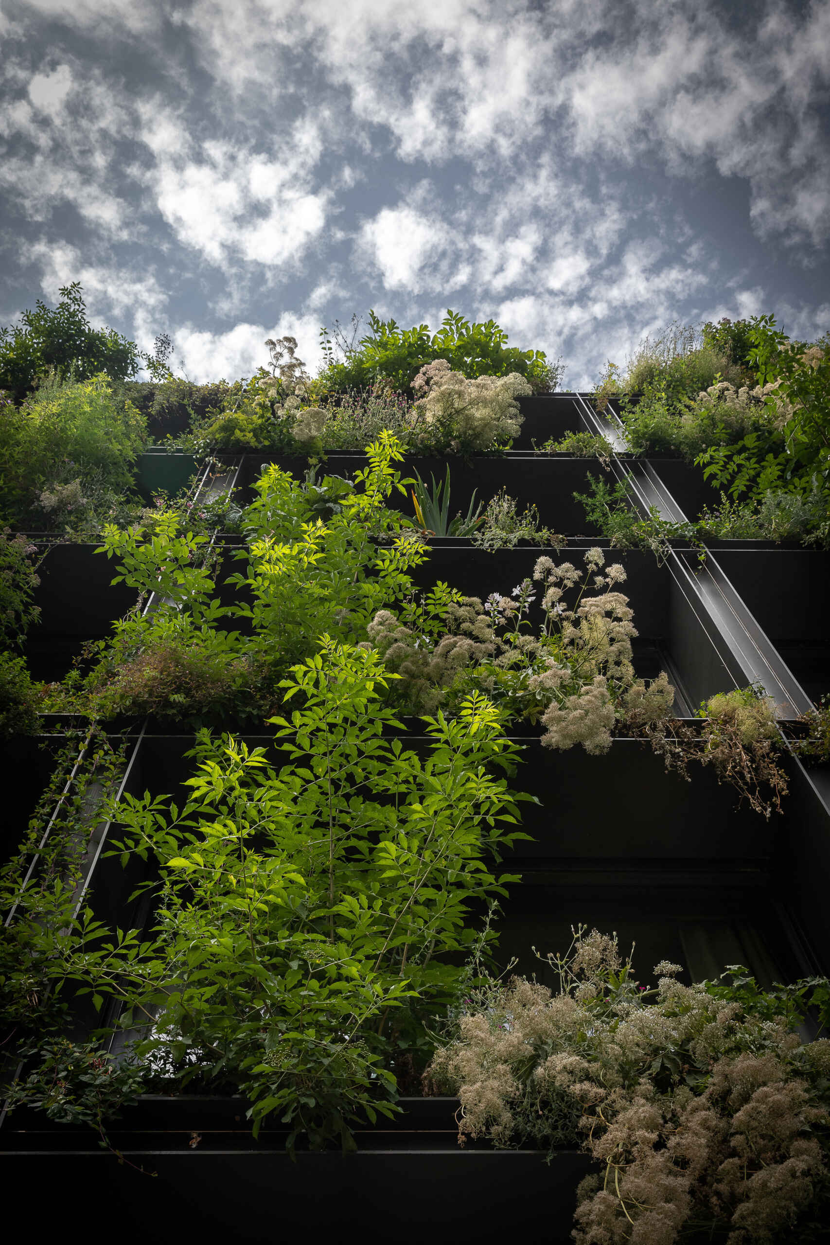 A striking vertical garden wraps the entire façade of Villa M in Paris, transforming the building into a living, breathing ecosystem. Designed as an exoskeleton of greenery, it blends architecture and nature in a bold vision for urban sustainability.