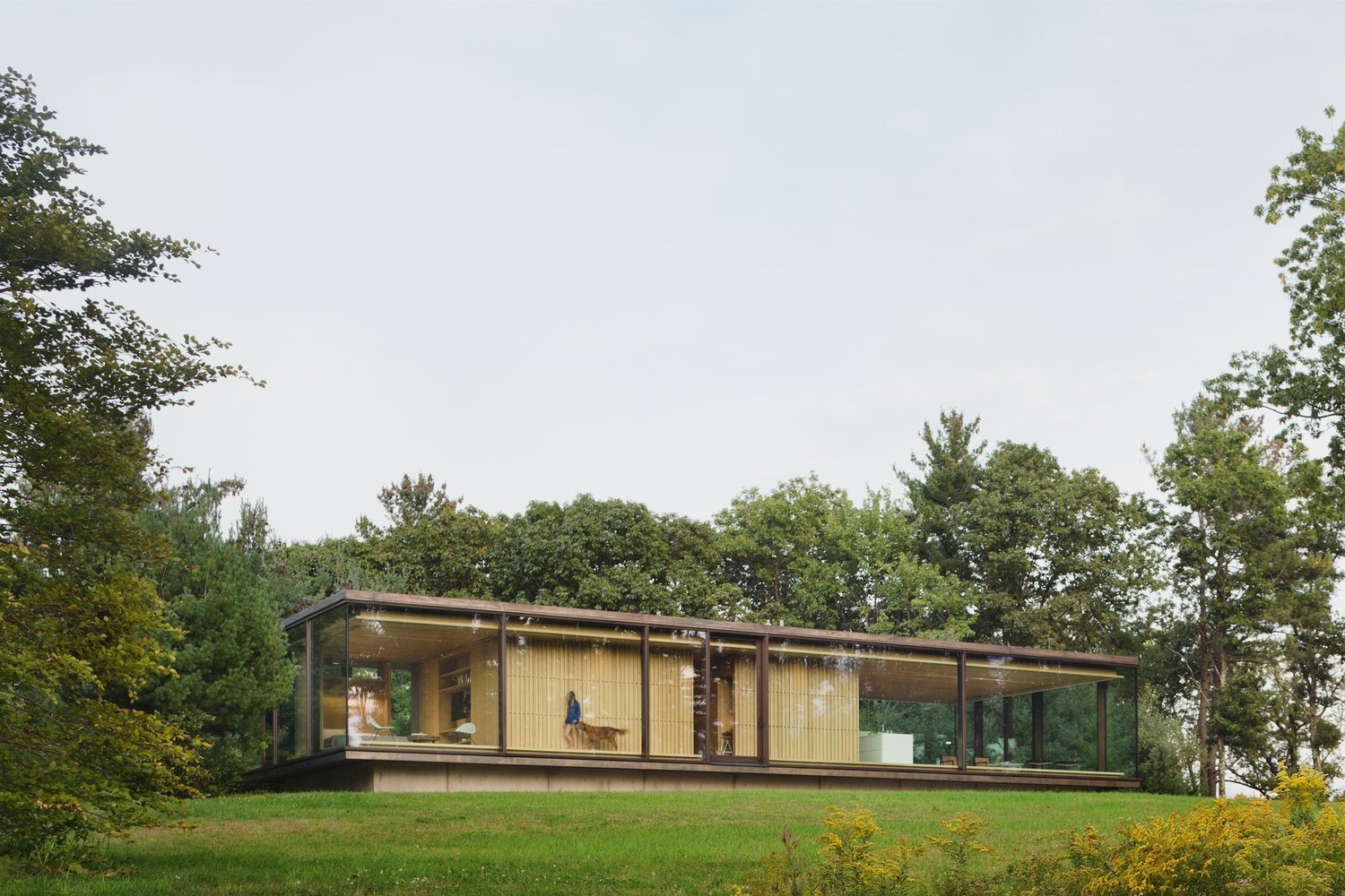 A striking glass guest house with a slatted wood core, cantilevered roof, and high-performance triple-pane glazing, designed to sit lightly on the land.