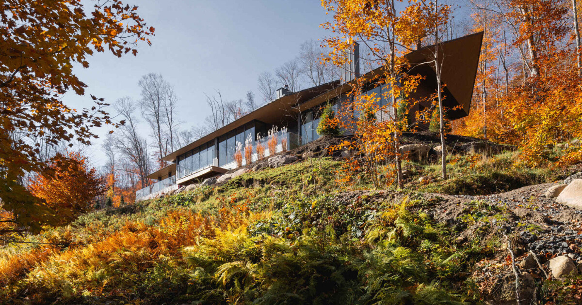 The Stunning Cliffside Home That Makes You Feel Like You’re Living in the Trees