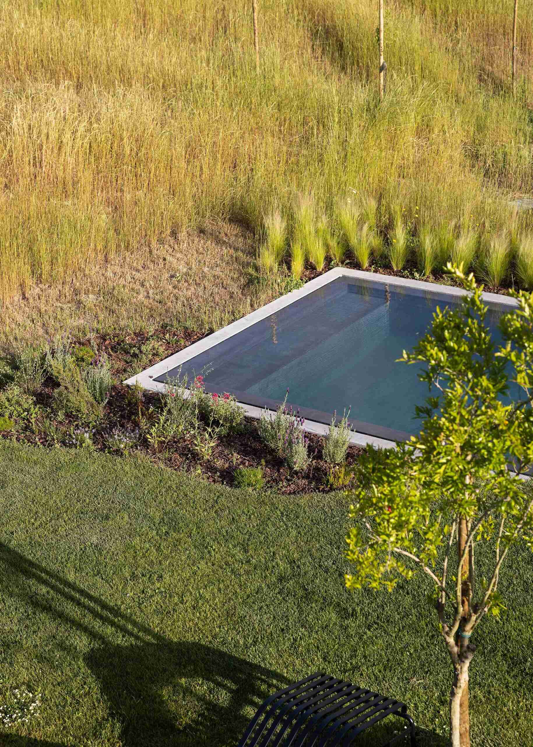 Set among golden grasses and wildflowers, the simple pool feels like a quiet retreat. Its clean edges blend with the landscape, making the water appear still and reflective, a peaceful spot for warm afternoons and slow sunsets.