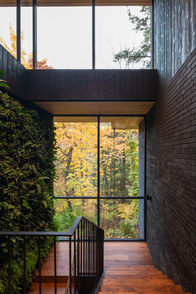 A sculptural stair connects both levels of this modern house, and is framed by a large windows, lush green wall, and tranquil freshwater pond.
