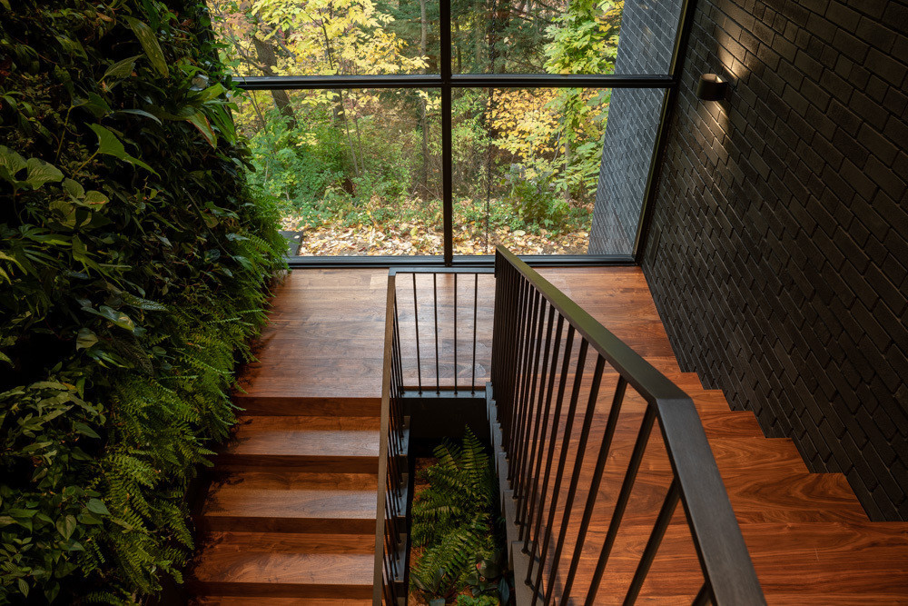 A sculptural stair connects both levels of this modern house, and is framed by a large windows, lush green wall, and tranquil freshwater pond.