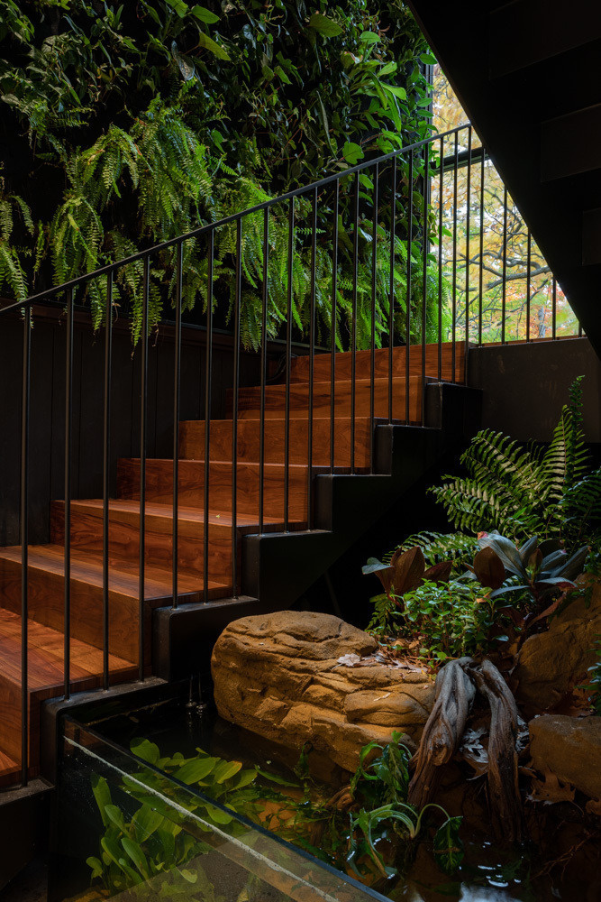 A sculptural stair connects both levels of this modern house, and is framed by a large windows, lush green wall, and tranquil freshwater pond.