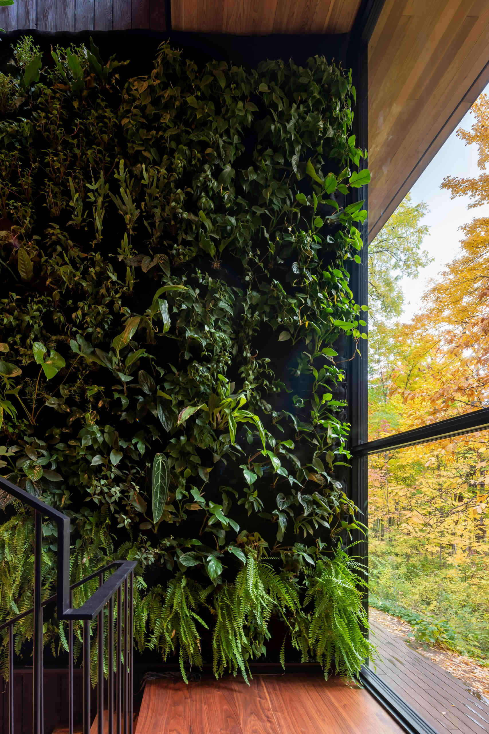 A sculptural stair connects both levels of this modern house, and is framed by a large windows, lush green wall, and tranquil freshwater pond.