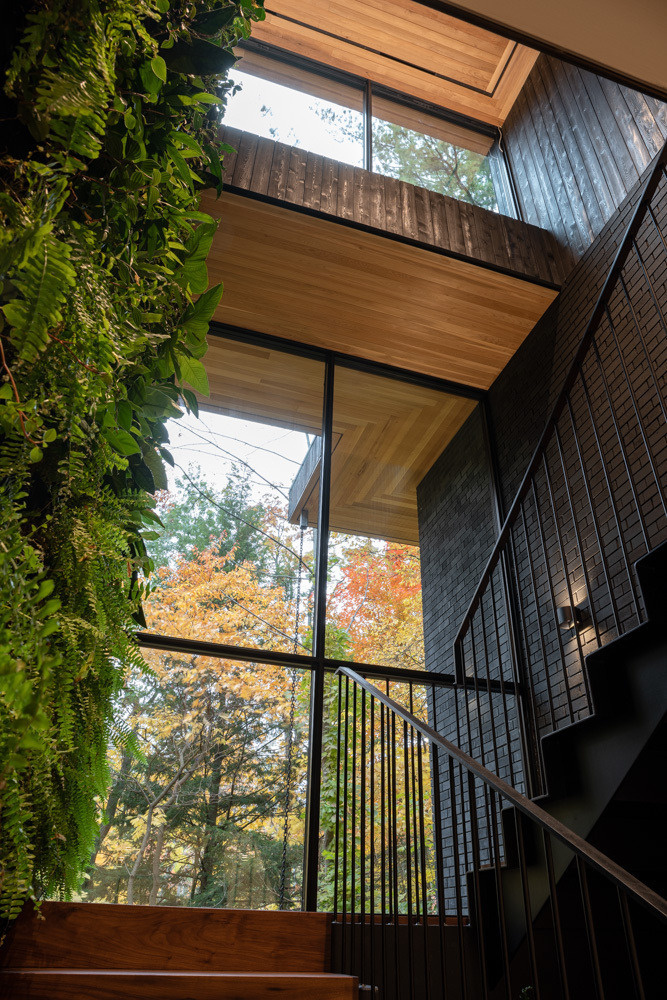A sculptural stair connects both levels of this modern house, and is framed by a large windows, lush green wall, and tranquil freshwater pond.