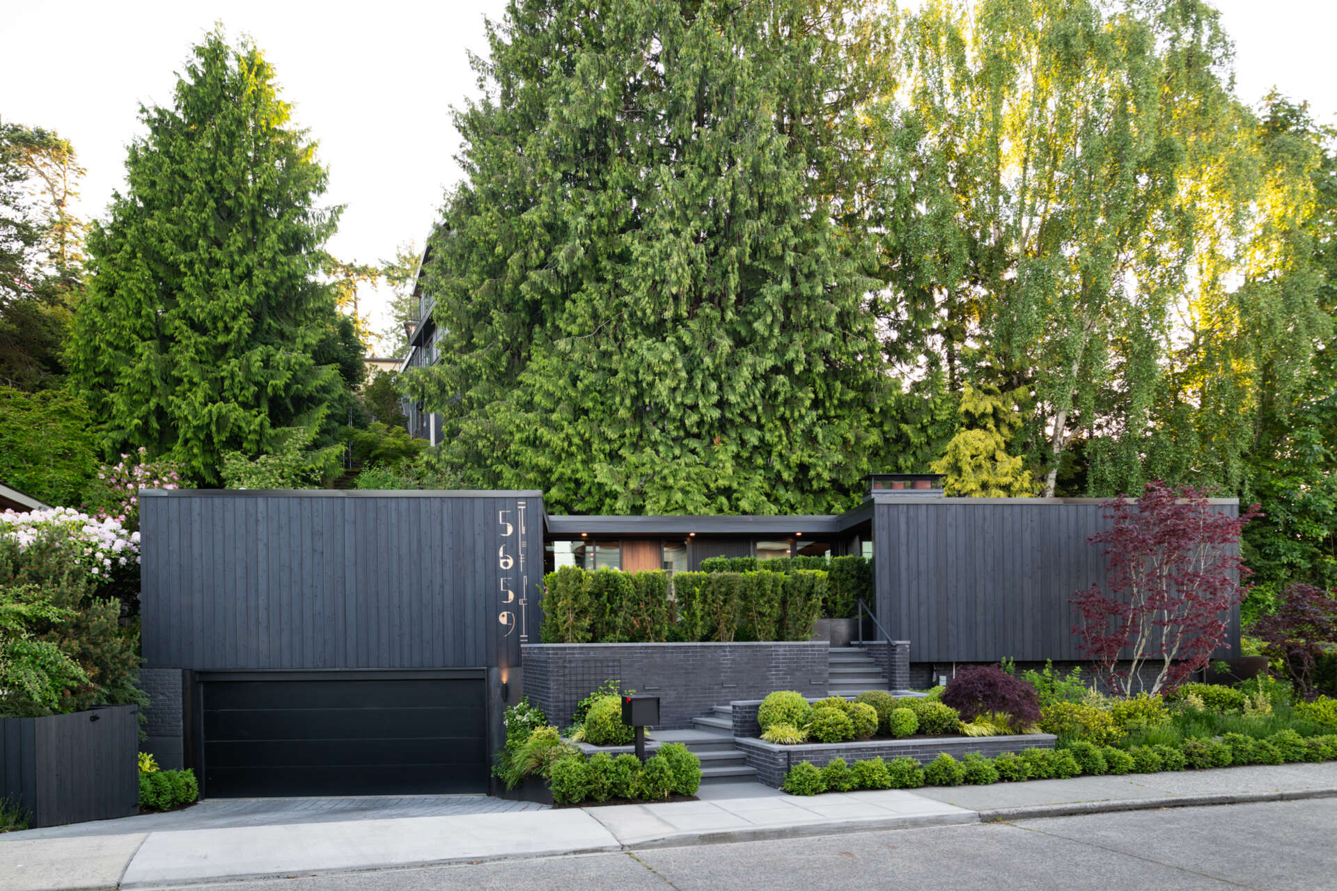 The bold shou sugi ban siding of this renovated mid-century modern home contrasts with the lush landscaping, while a pathway of stairs weaves through greenery to a welcoming patio.