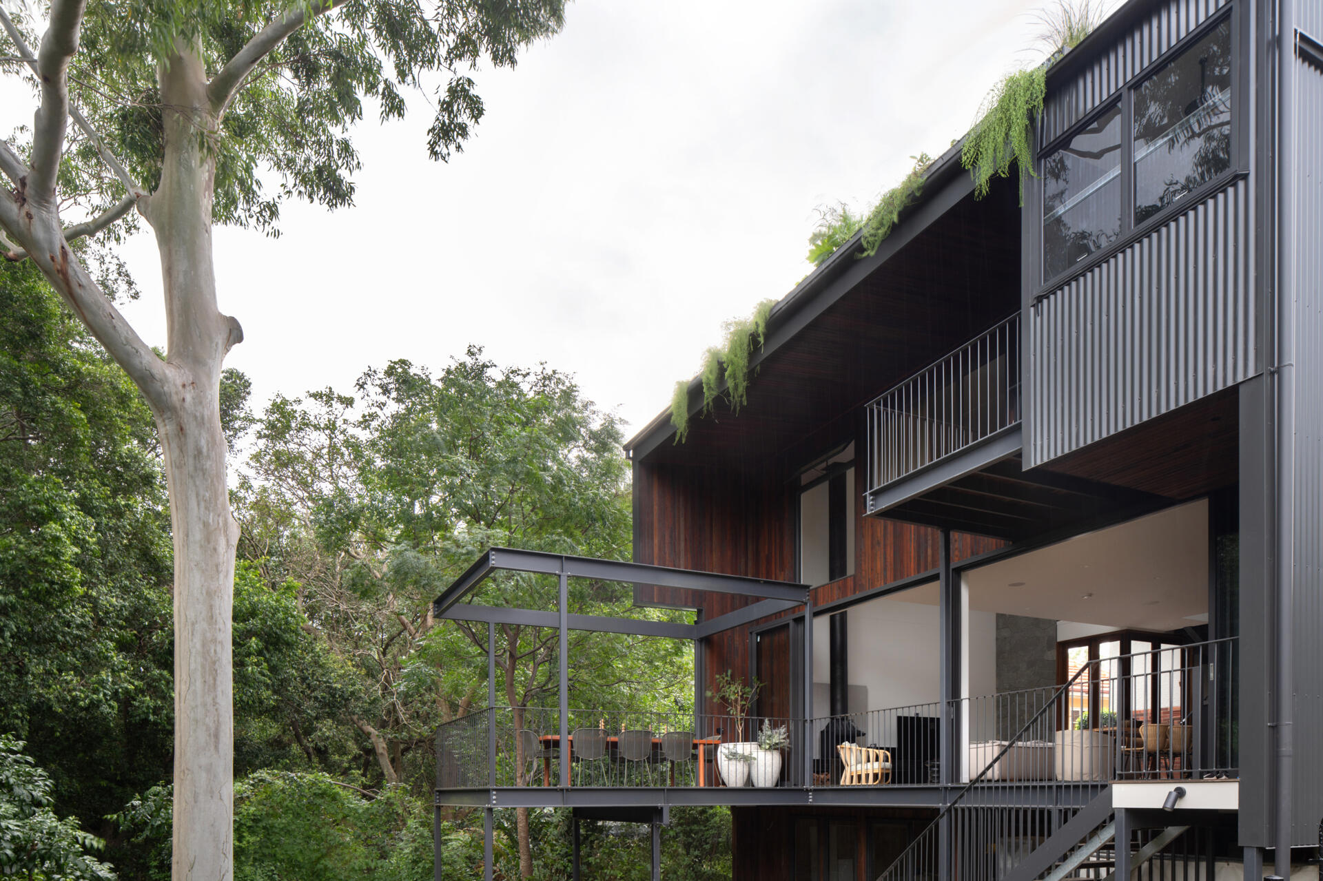 A 1930s bungalow transformed with a steel-framed extension that opens to the treetops, blending recycled timbers, natural stone, and contemporary design.