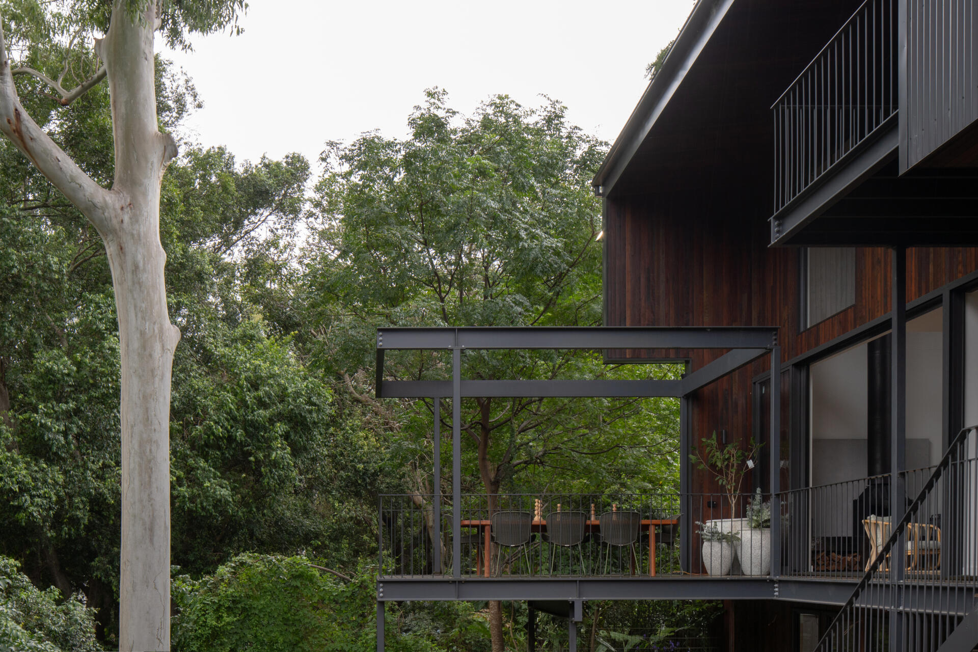 A 1930s bungalow transformed with a steel-framed extension that opens to the treetops, blending recycled timbers, natural stone, and contemporary design.