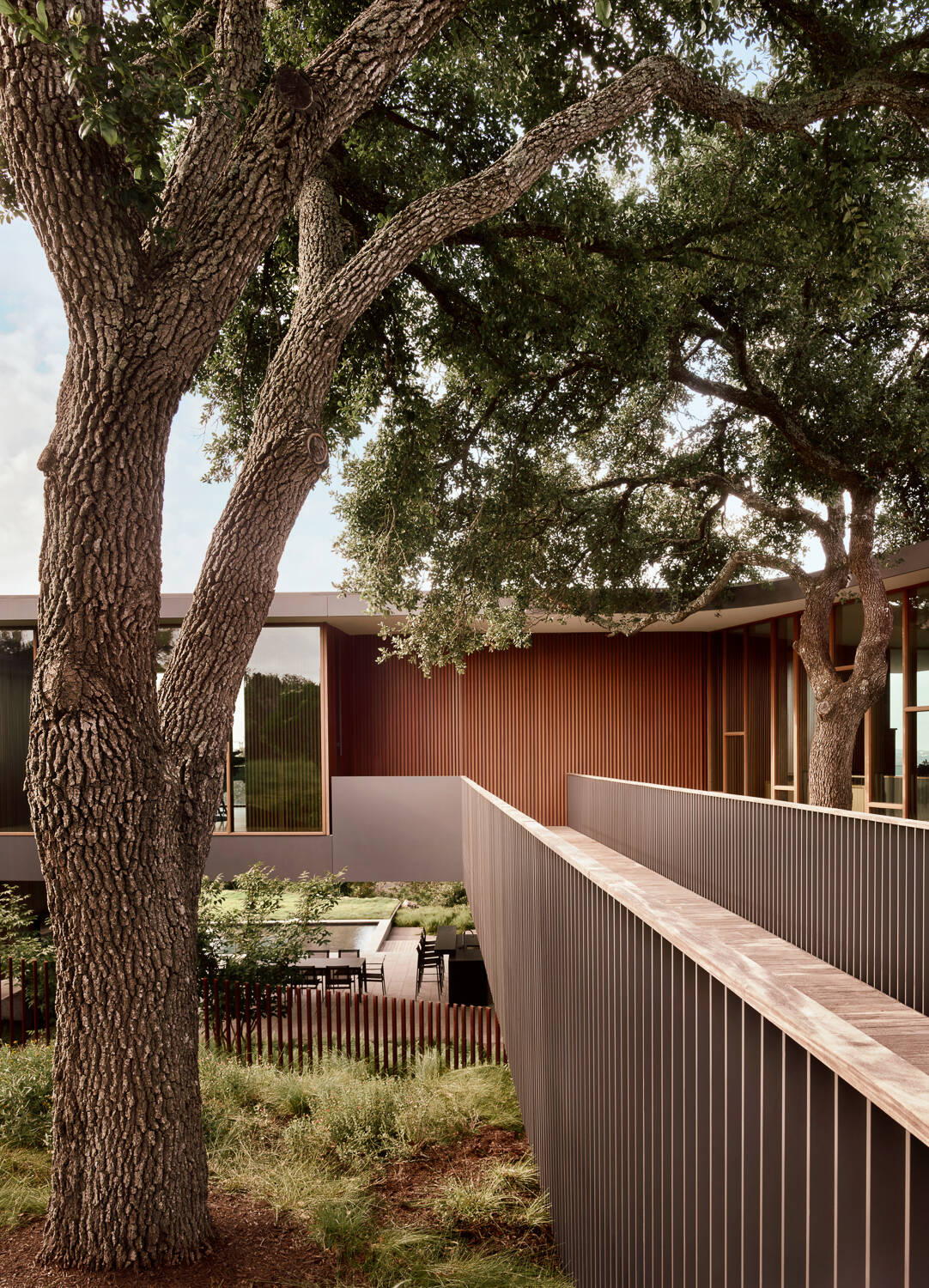 A cinematic entry bridge skirts oak trees and reveals glimpses of what lies beyond.