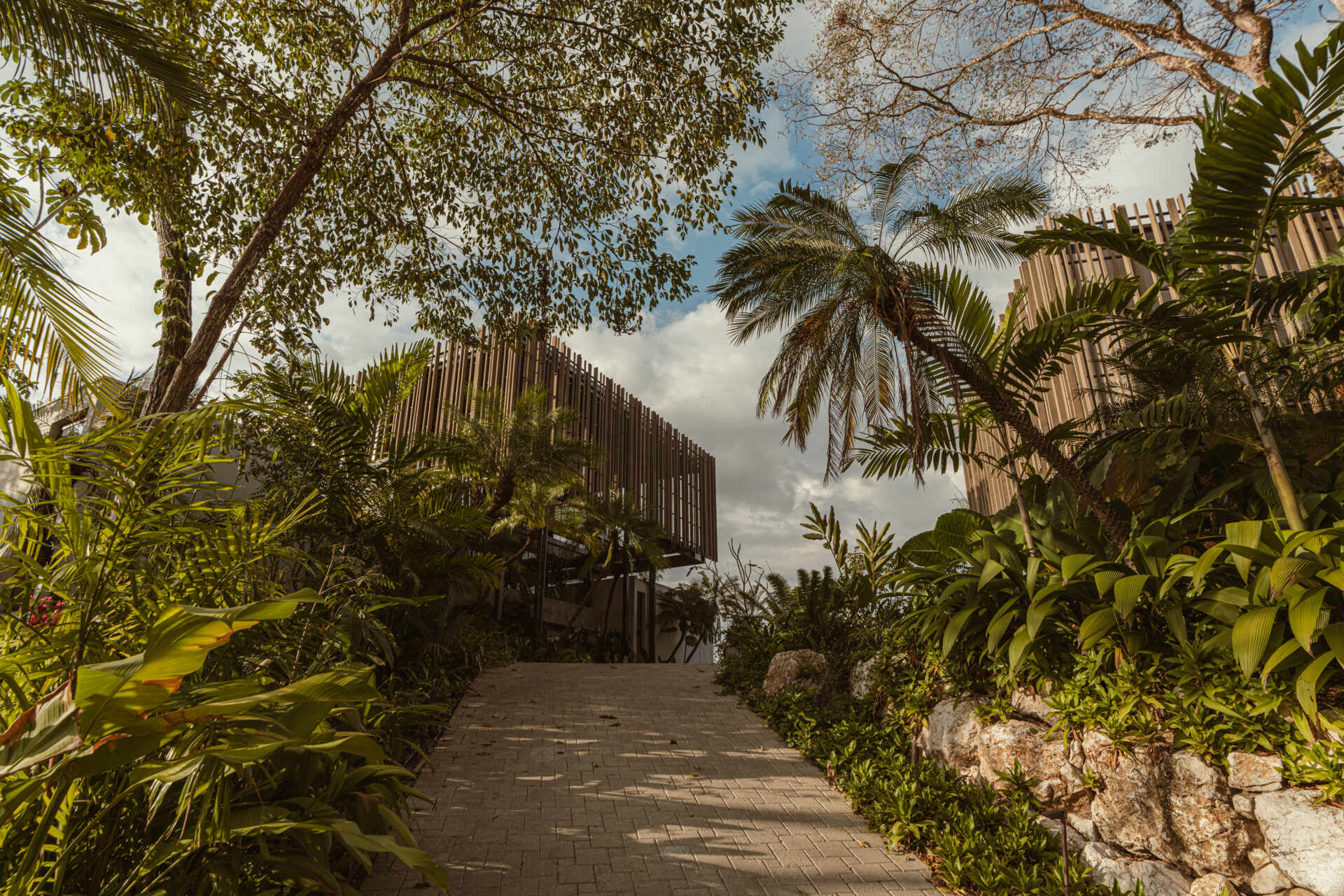 A modern house design with two pavilion-style volumes,  connected by a central vestibule, creates a layout that feels open, grounded, and deeply connected to the jungle canopy.