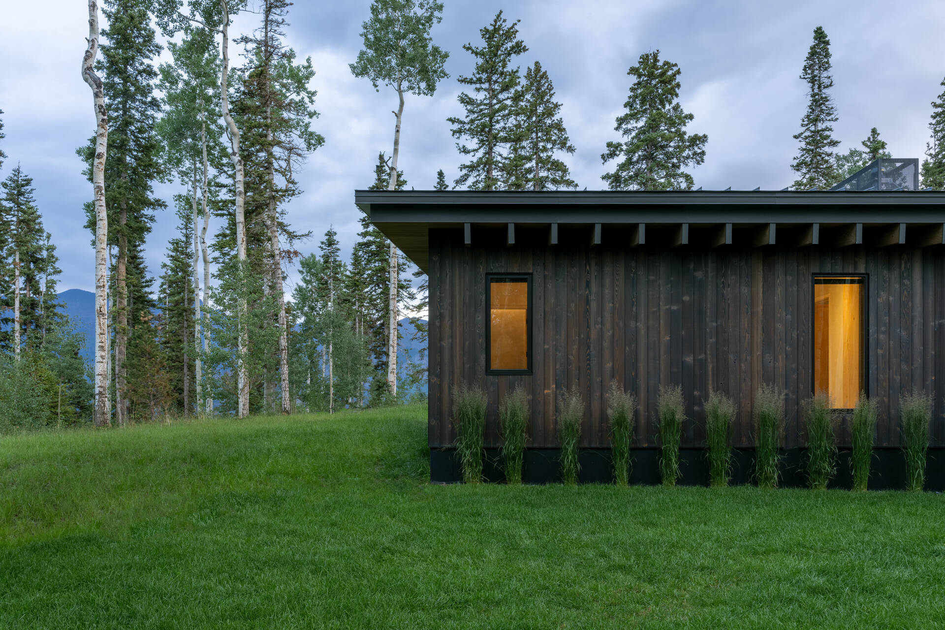 Rough sawn cedar, limestone, and steel ground this modern home in its wooded setting.