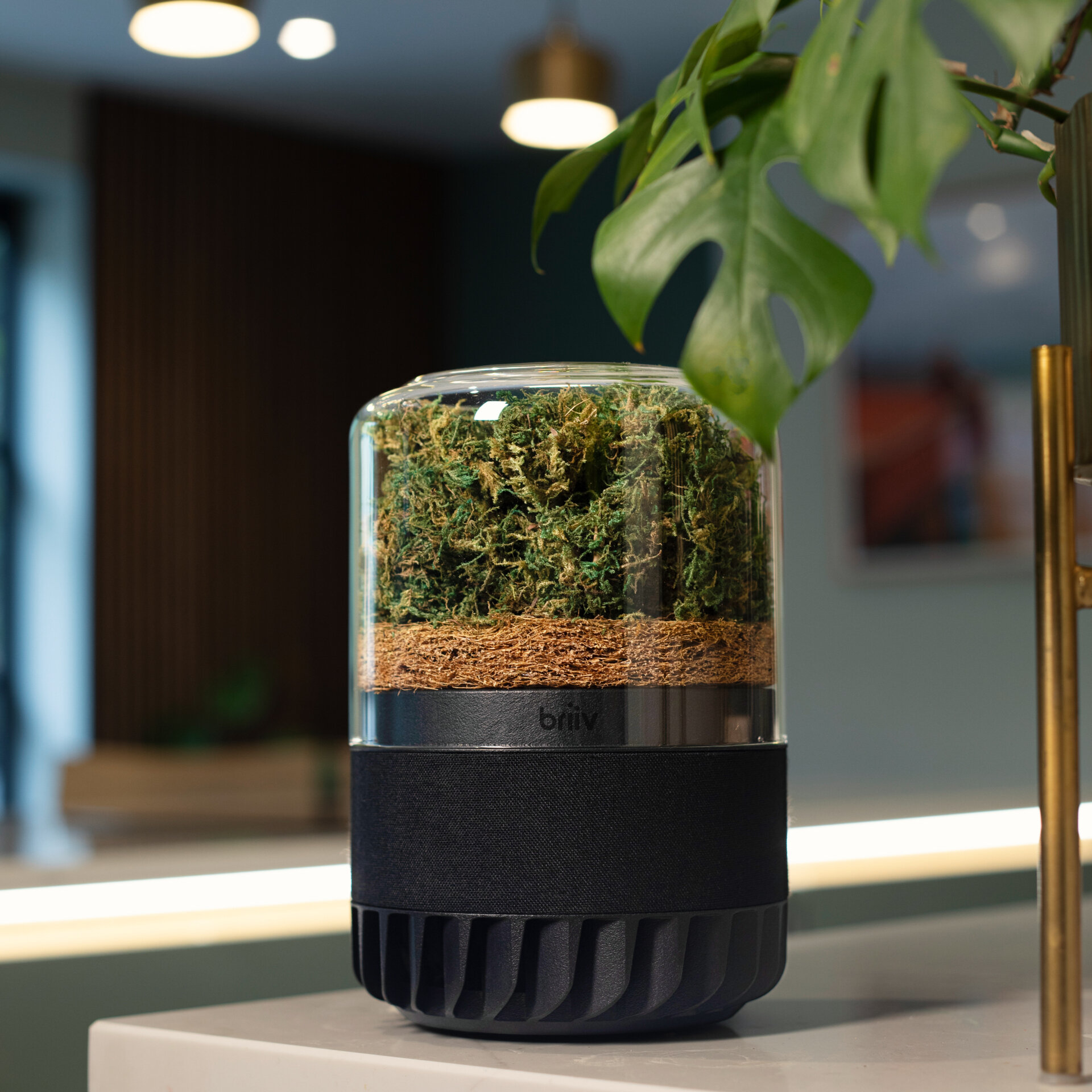 Briiv Pro Air Purifier by Whitfield Sykes