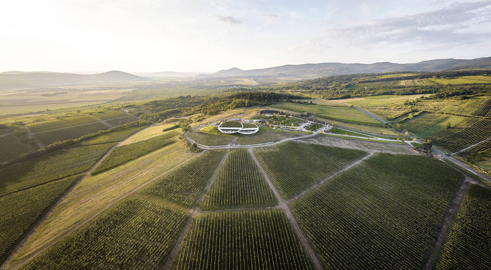 The winery’s lens-shaped floating volumes create a striking landmark, balancing dramatic design with functional underground fermentation and storage areas.