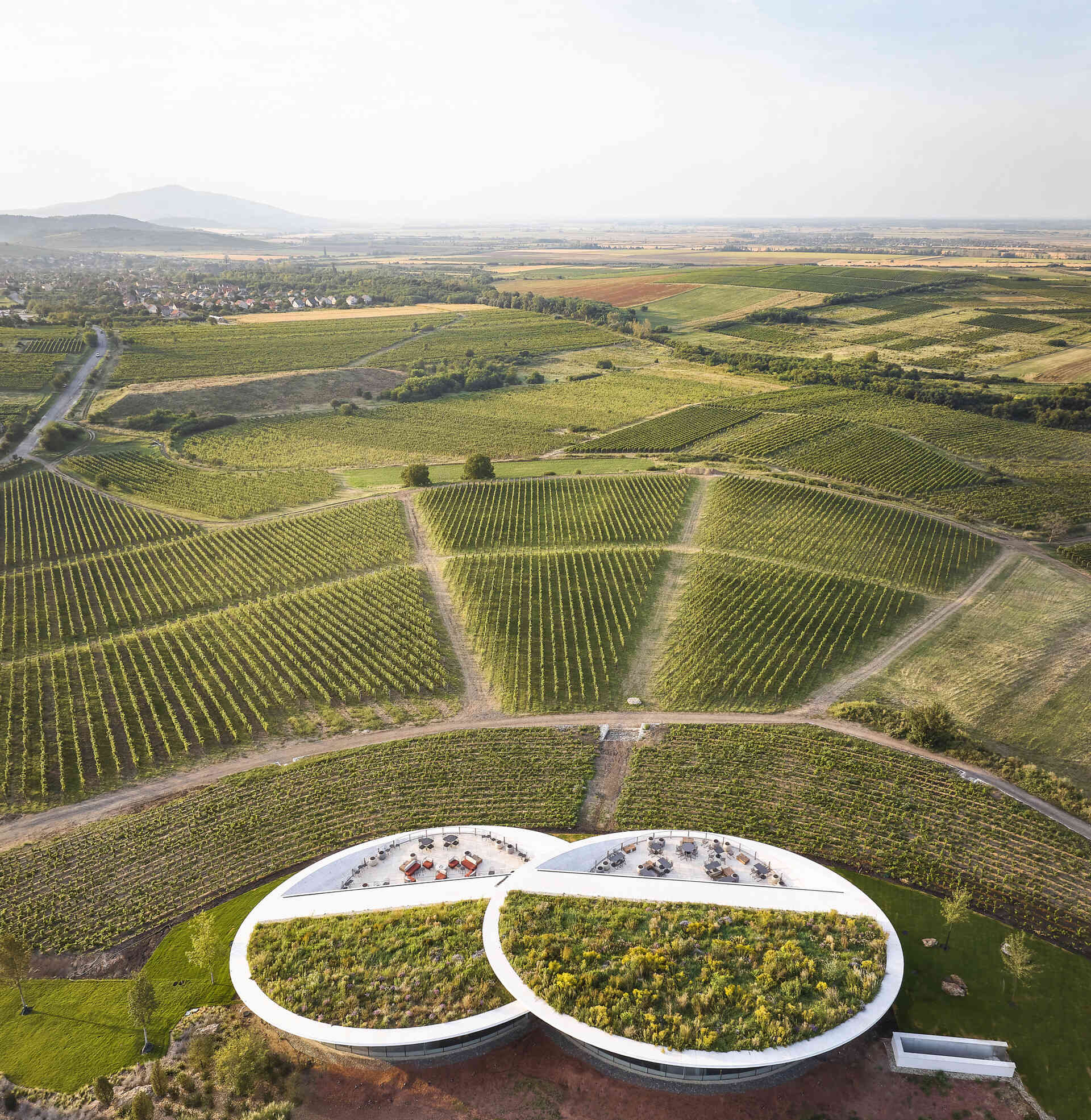 The winery’s lens-shaped floating volumes, covered in plants, create a striking landmark, balancing dramatic design with functional underground fermentation and storage areas.