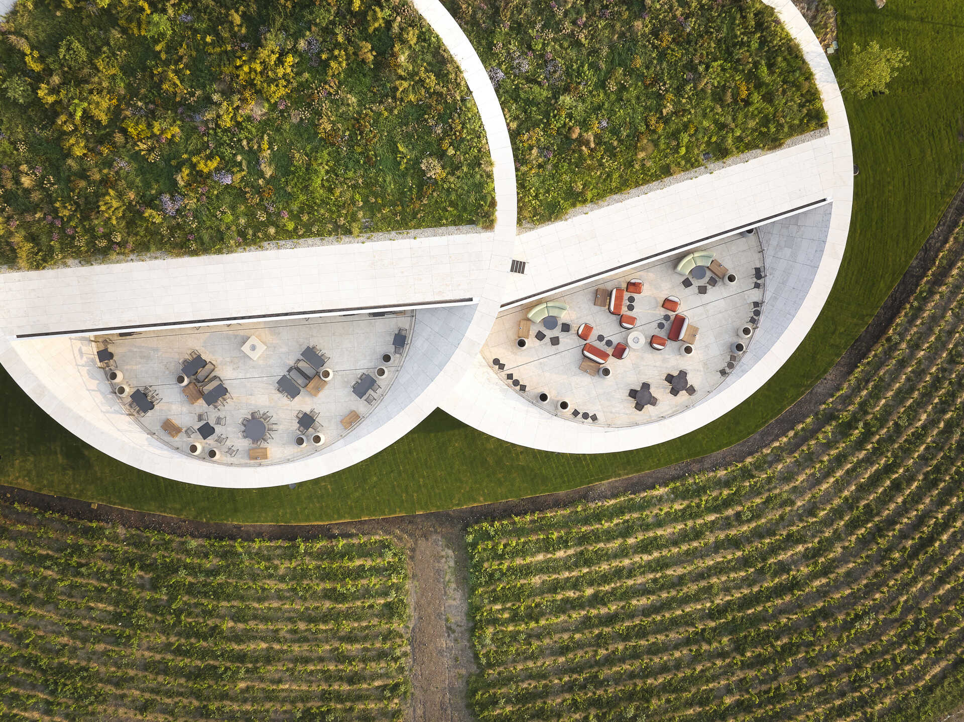 The winery’s lens-shaped floating volumes, covered in plants, create a striking landmark, balancing dramatic design with functional underground fermentation and storage areas.