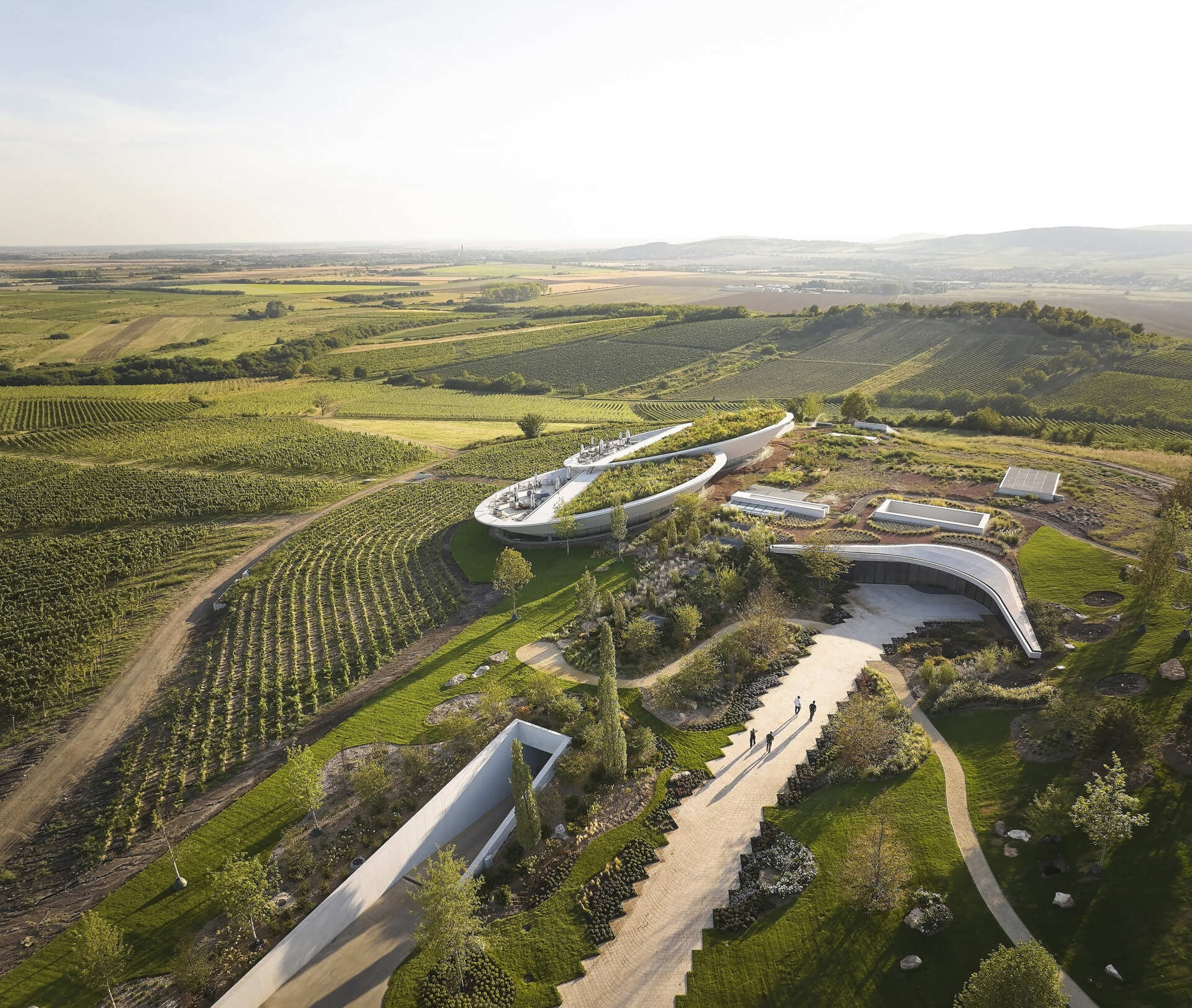The winery’s lens-shaped floating volumes, covered in plants, create a striking landmark, balancing dramatic design with functional underground fermentation and storage areas.