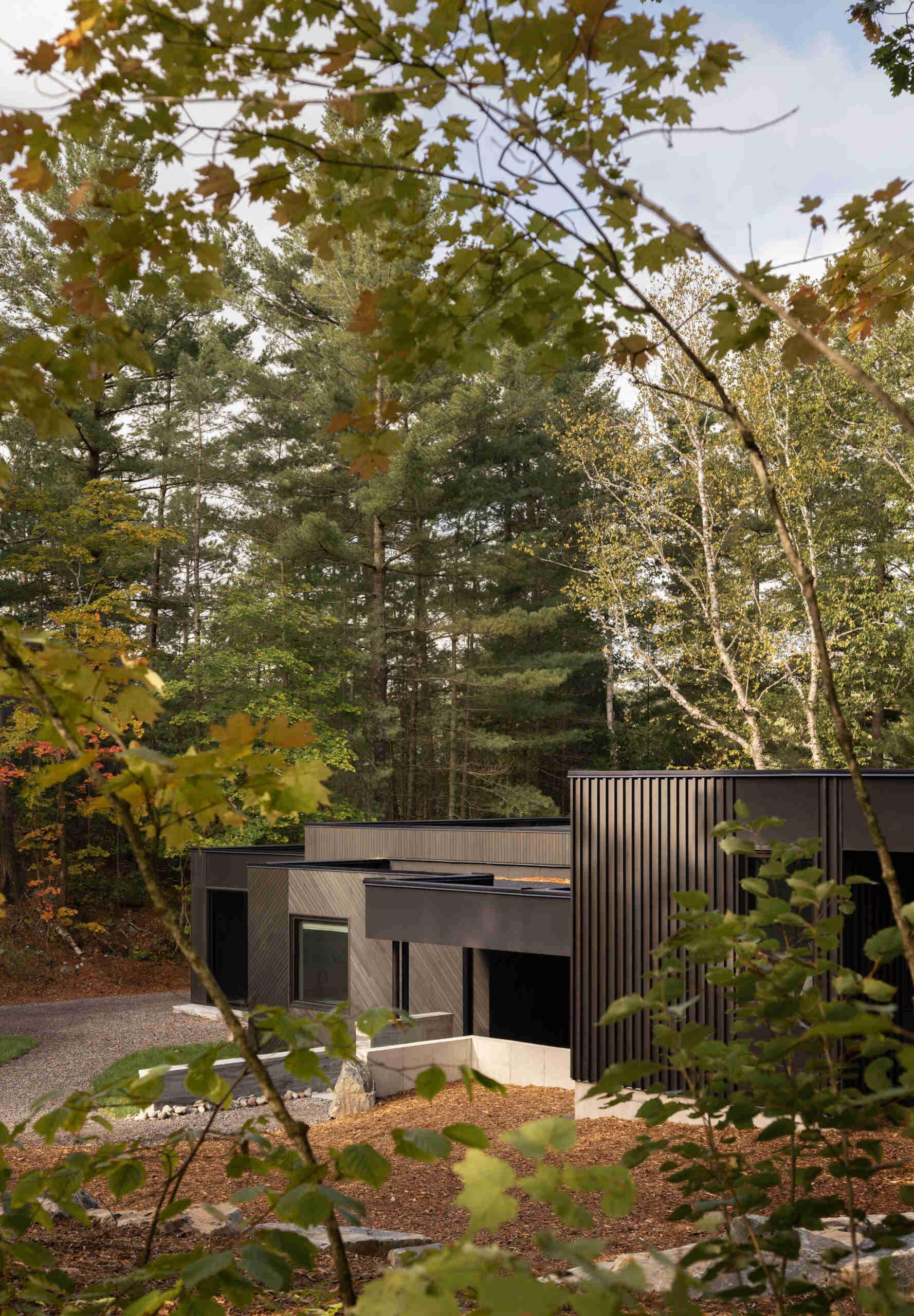 Black timber cladding and glass define the exterior of this modern lake cottage, striking yet rooted in the forest.