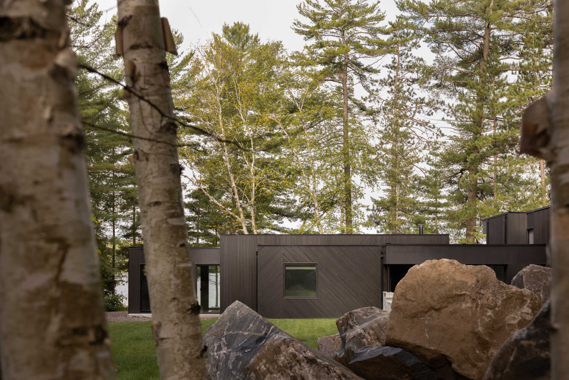 Black timber cladding and glass define the exterior of this modern lake cottage, striking yet rooted in the forest.
