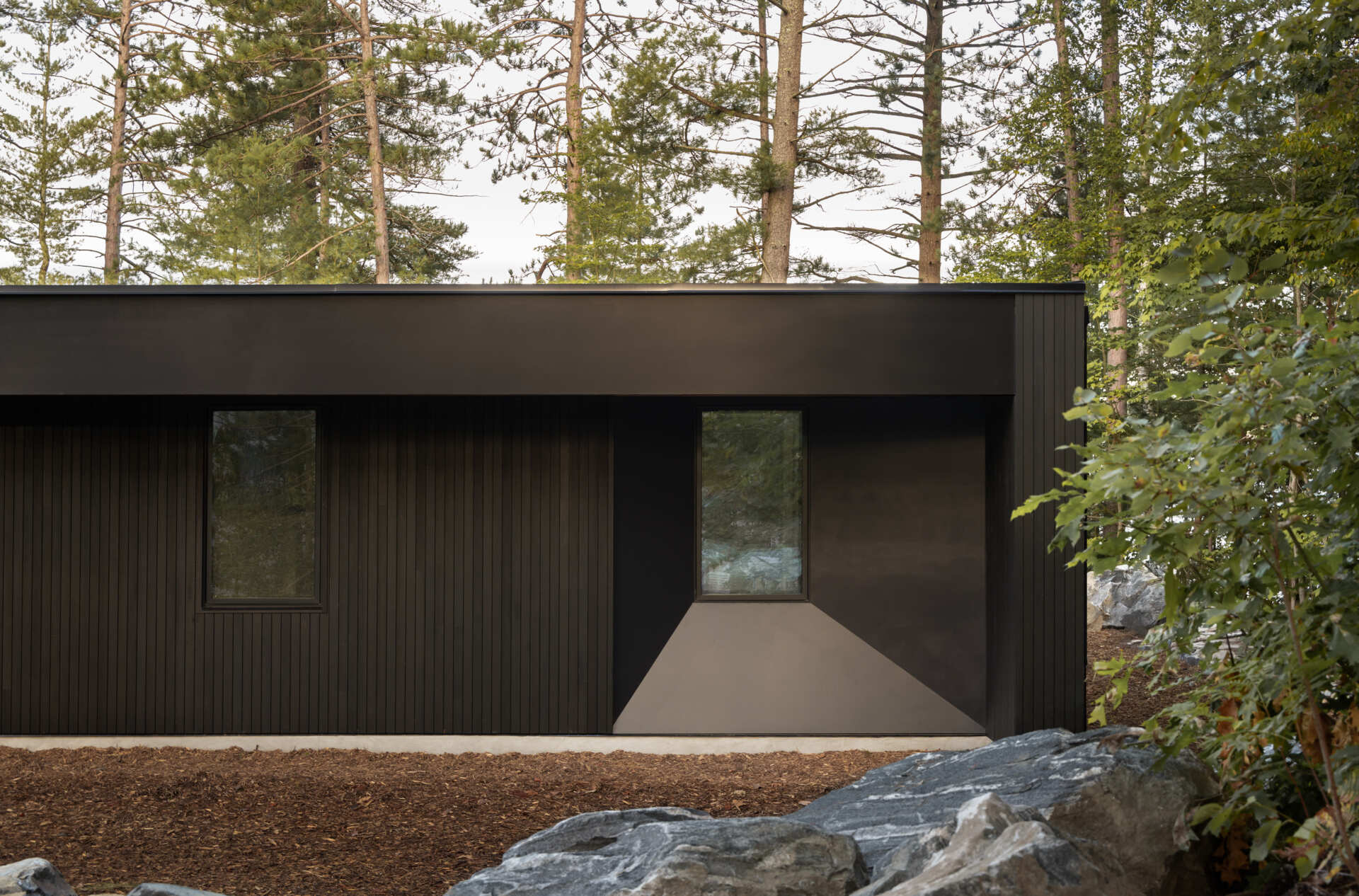 Black timber cladding and glass define the exterior of this modern lake cottage, striking yet rooted in the forest.
