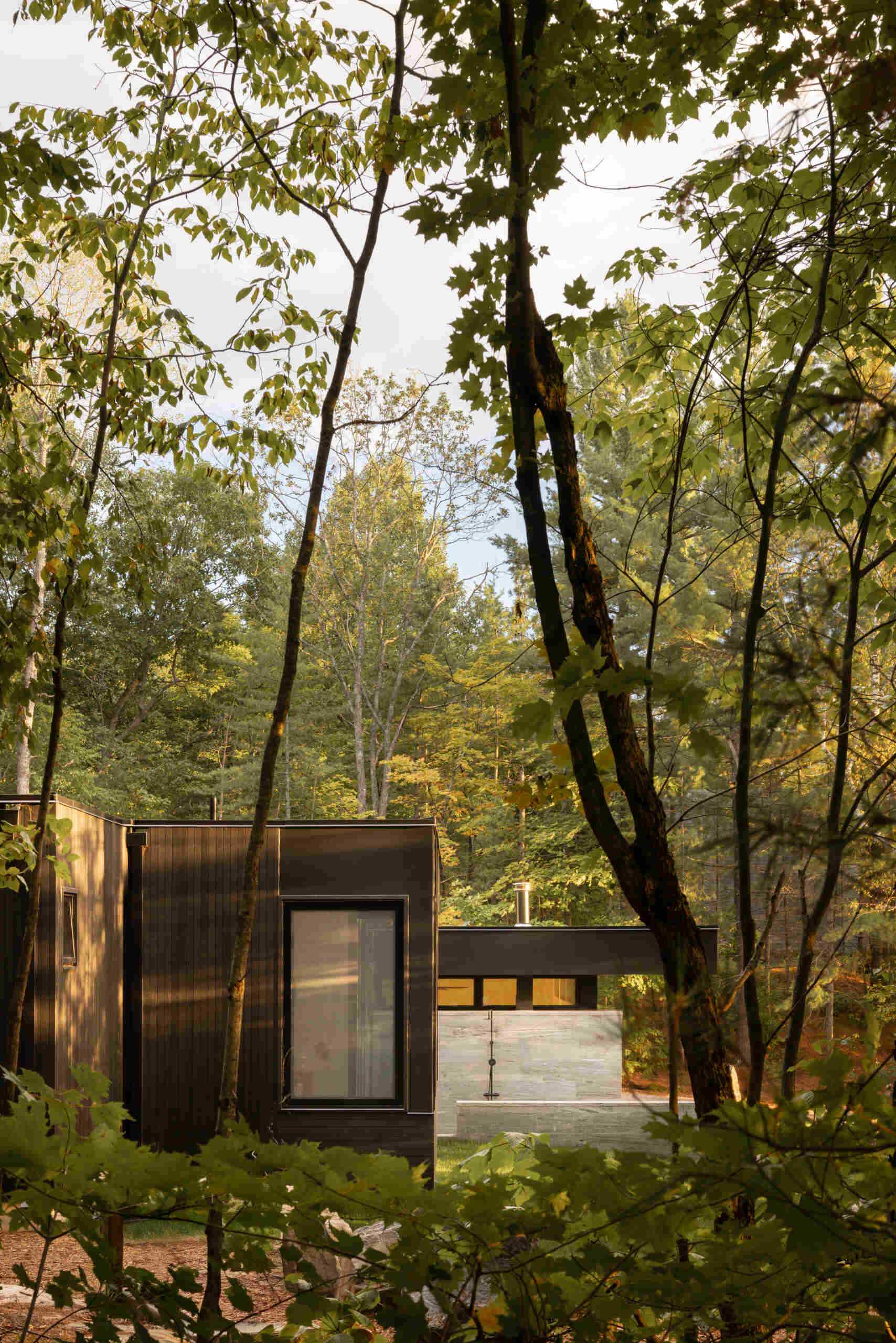 Black timber cladding and glass define the exterior of this modern lake cottage, striking yet rooted in the forest.
