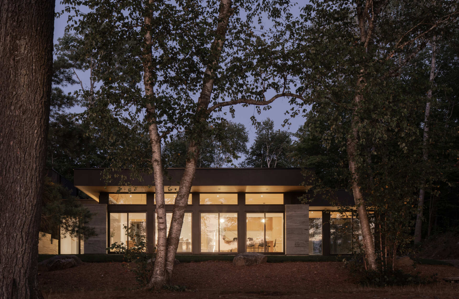 Black timber cladding and glass define the exterior of this modern lake cottage, striking yet rooted in the forest.