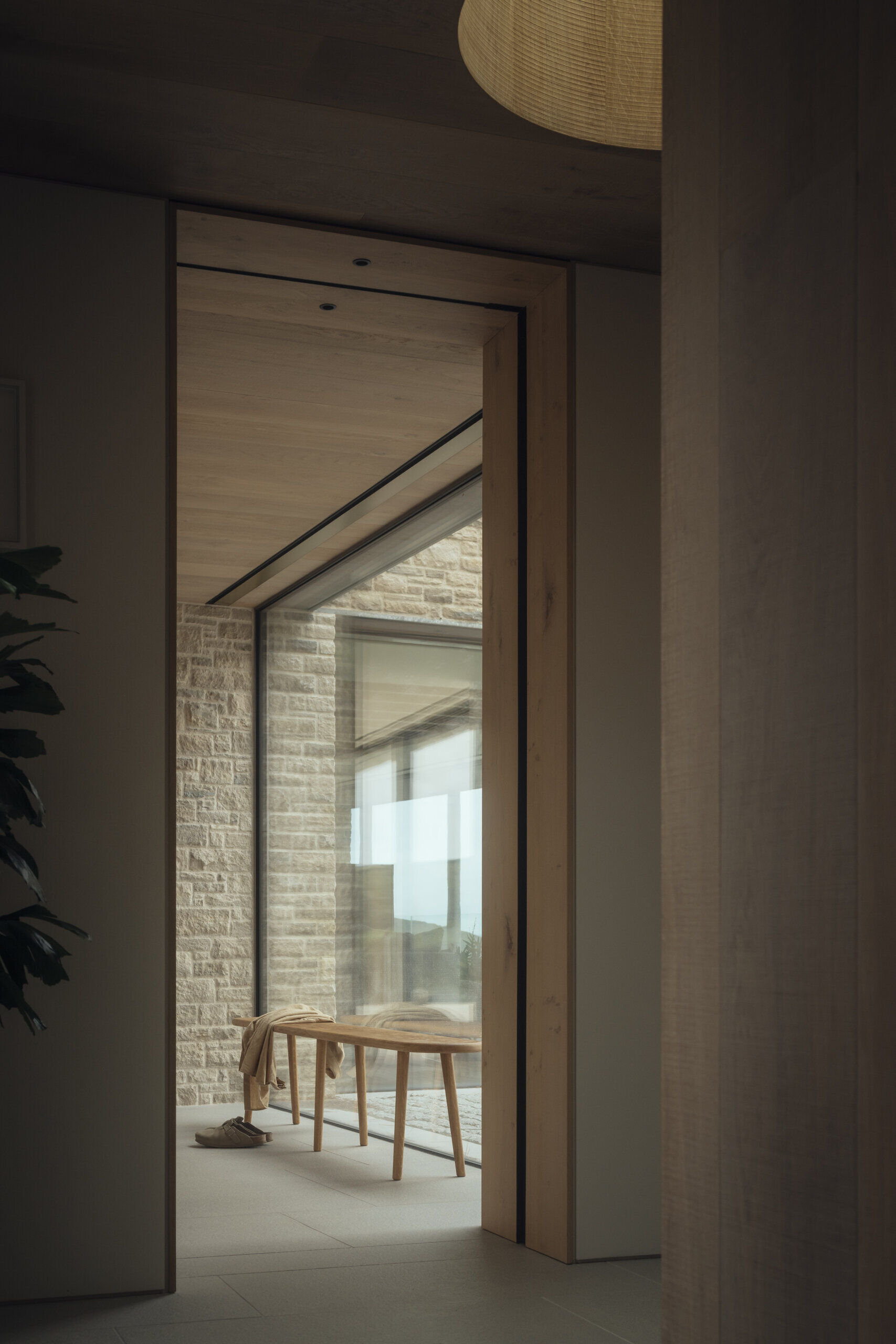 The entry hall opens with floor-to-ceiling glass overlooking a sheltered courtyard, where a conifer pine tree softens the space.