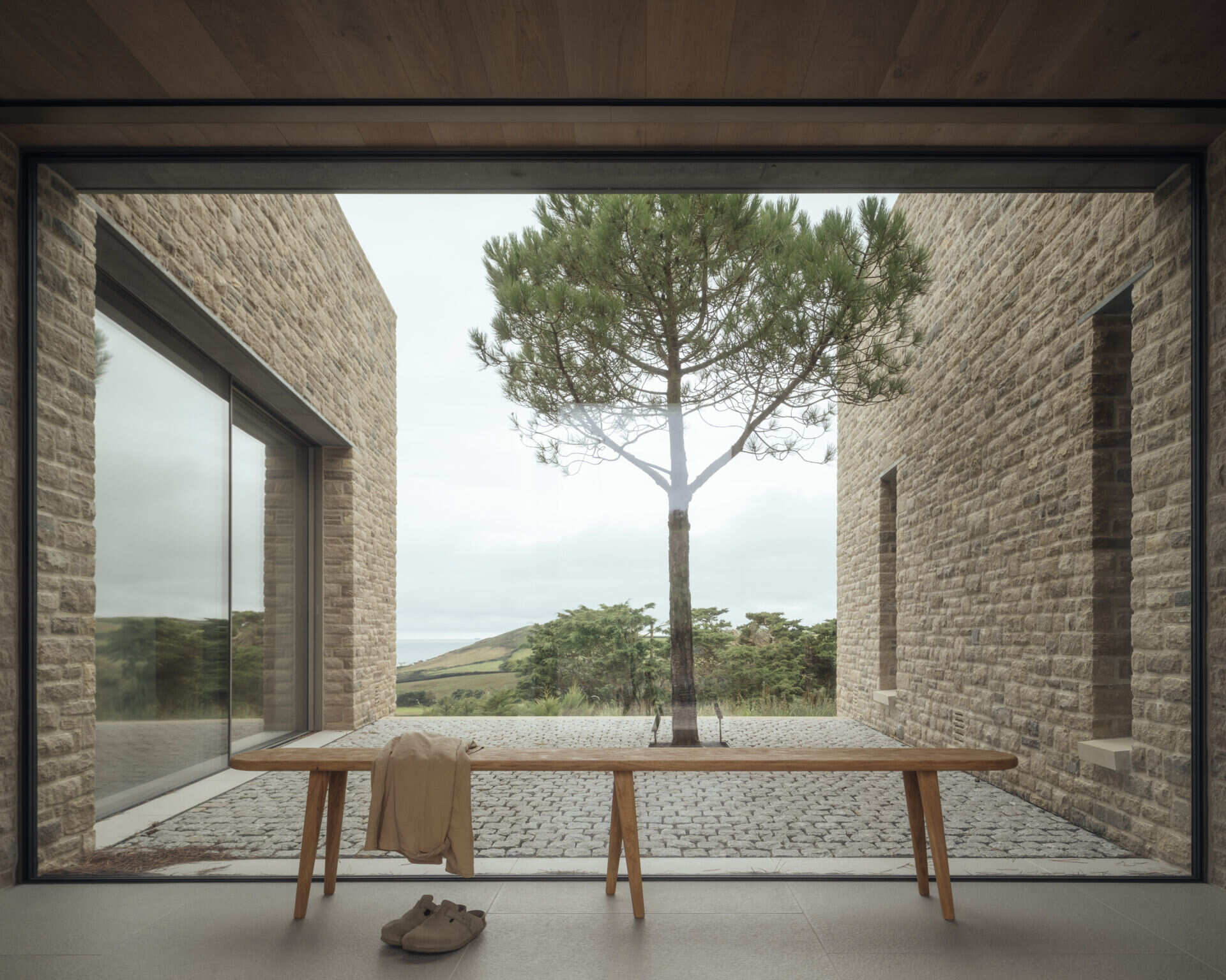 The entry hall opens with floor-to-ceiling glass overlooking a sheltered courtyard, where a conifer pine tree softens the space.