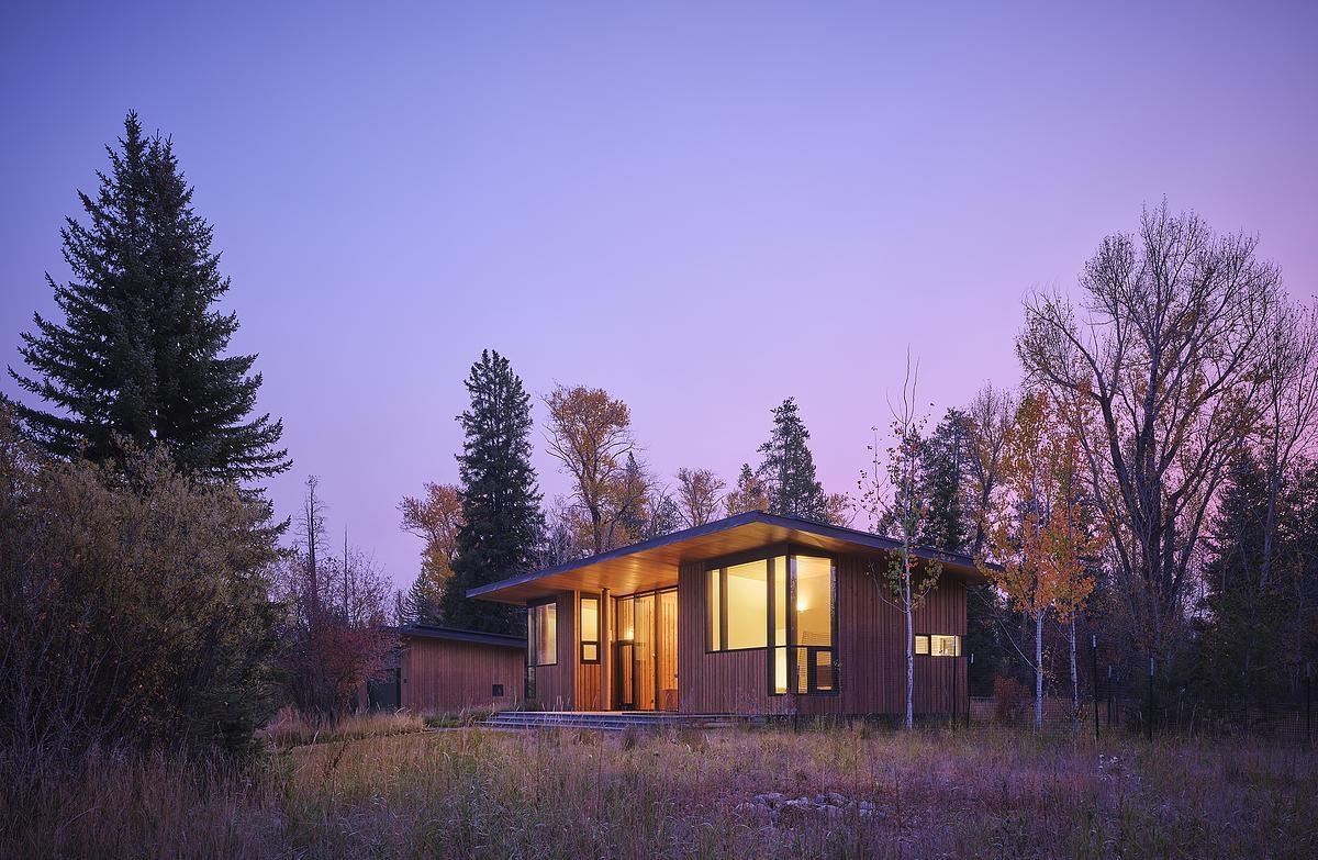 Timber curtain walls and warm plywood panels define the guest house’s modern yet inviting design.