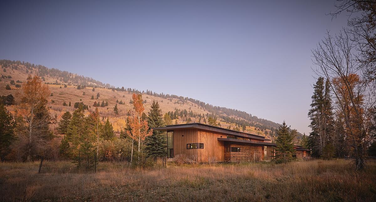 Timber curtain walls and warm plywood panels define the guest house’s modern yet inviting design.