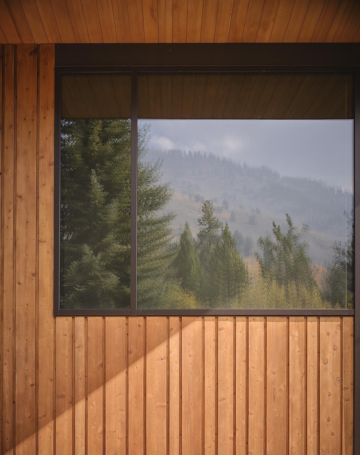 Timber curtain walls and warm plywood panels define the guest house’s modern yet inviting design.
