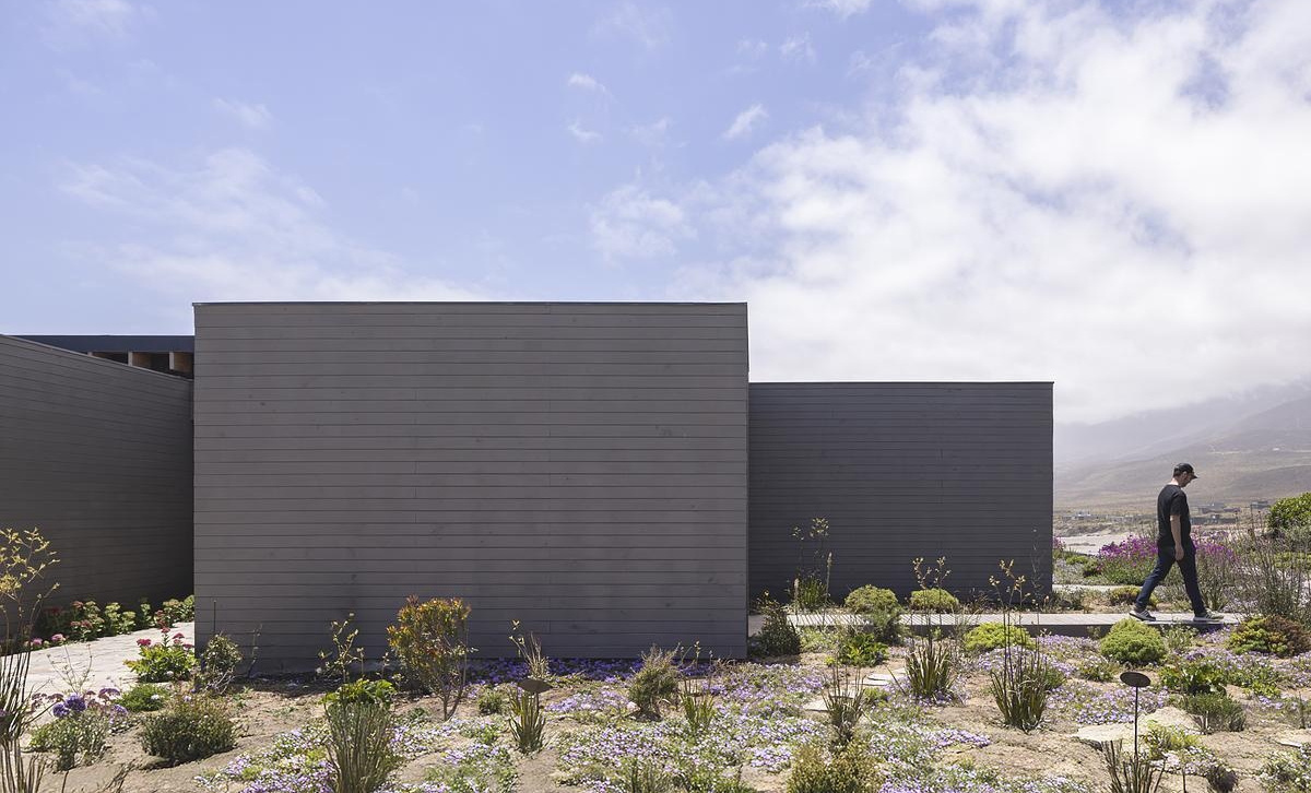 Wooden boxes and concrete walls come together in a minimalist coastal home design.