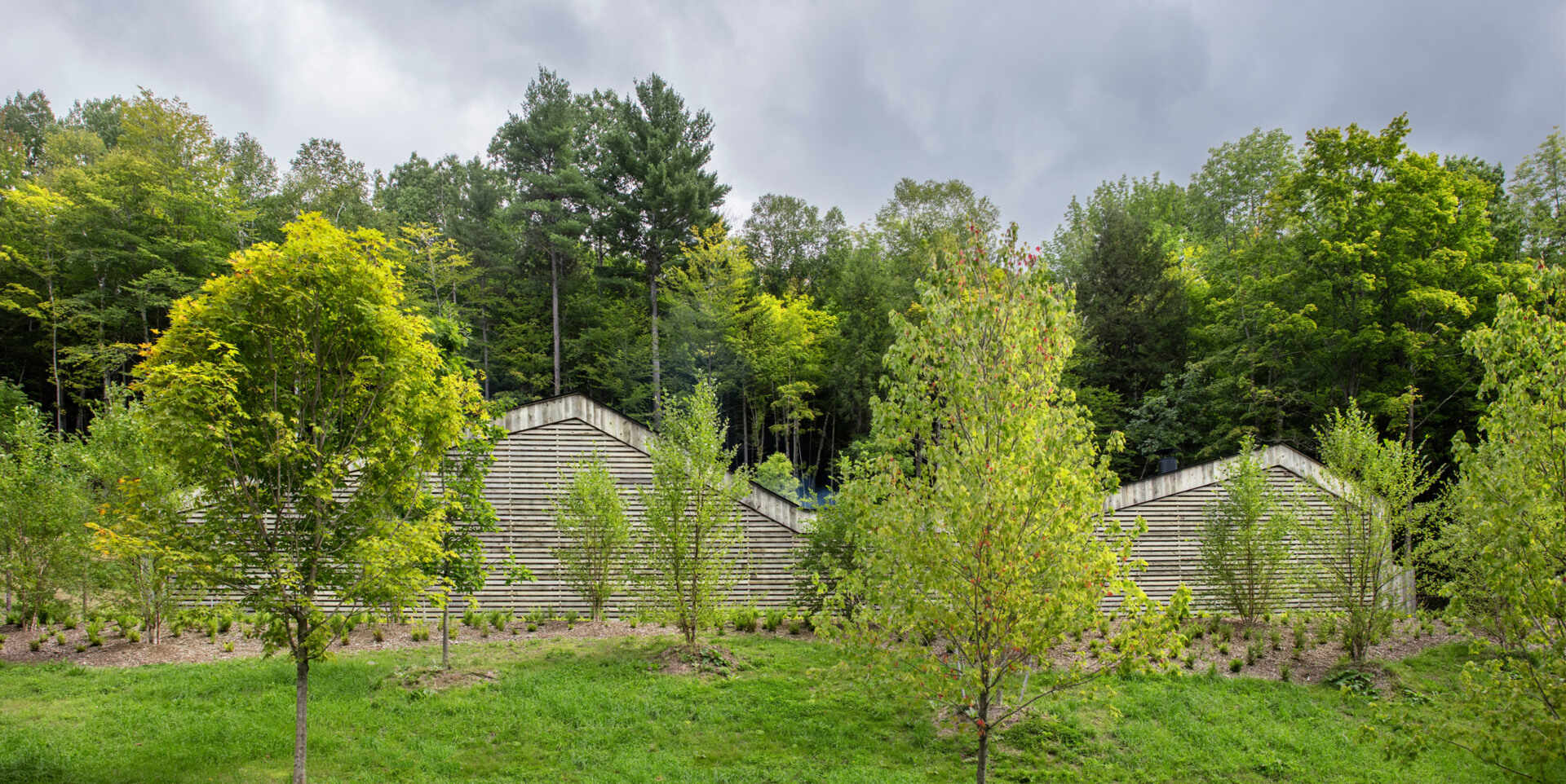 A Vermont guest house takes its shape from the classic woodshed, with gabled roofs that reimagine a familiar rural form. The house is clad in reclaimed snow fencing, weathered boards that give the structure instant character and texture.