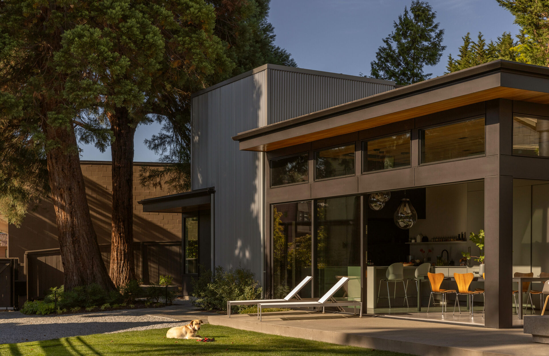 A modern Seattle structure clad in metal and cement siding with warm wood accents, designed for family gatherings and entertaining.