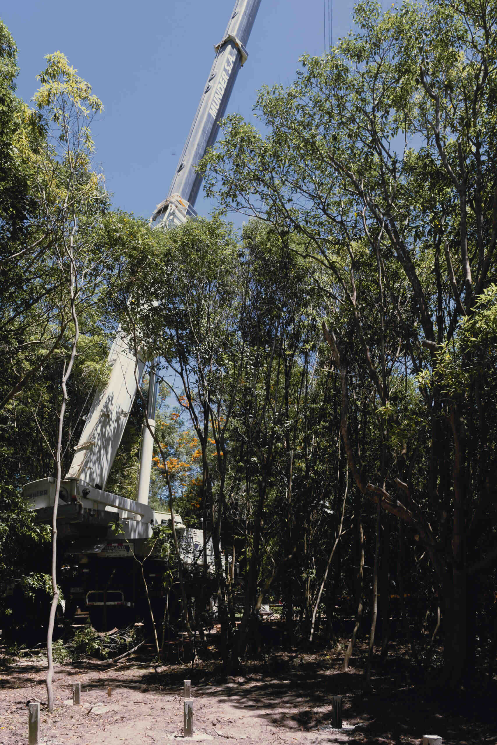The journey of Casa Flor from factory to site highlights the prefabricated construction. Built entirely under controlled conditions, the home was transported and set into place with minimal disruption.