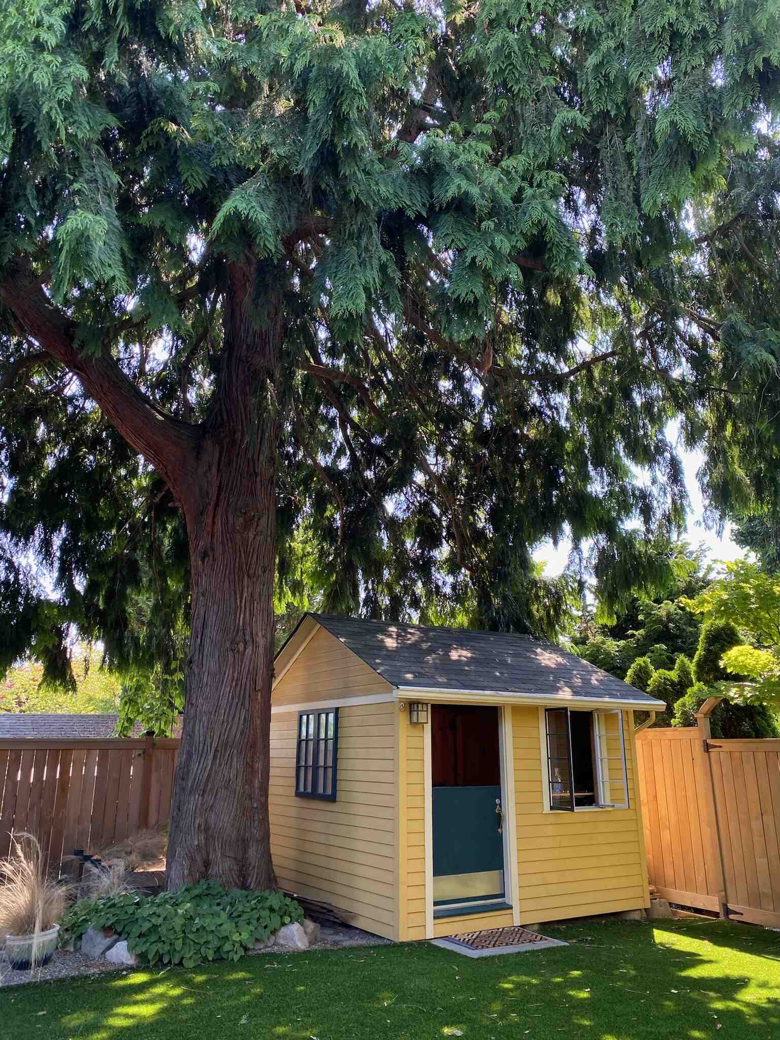 BEFORE - A behind-the-scenes look at how a Seattle family built their own backyard office from the ground up. From framing to finishing touches, this hands-on project shows how creativity and teamwork turned a simple shed into two bright, functional workspaces.