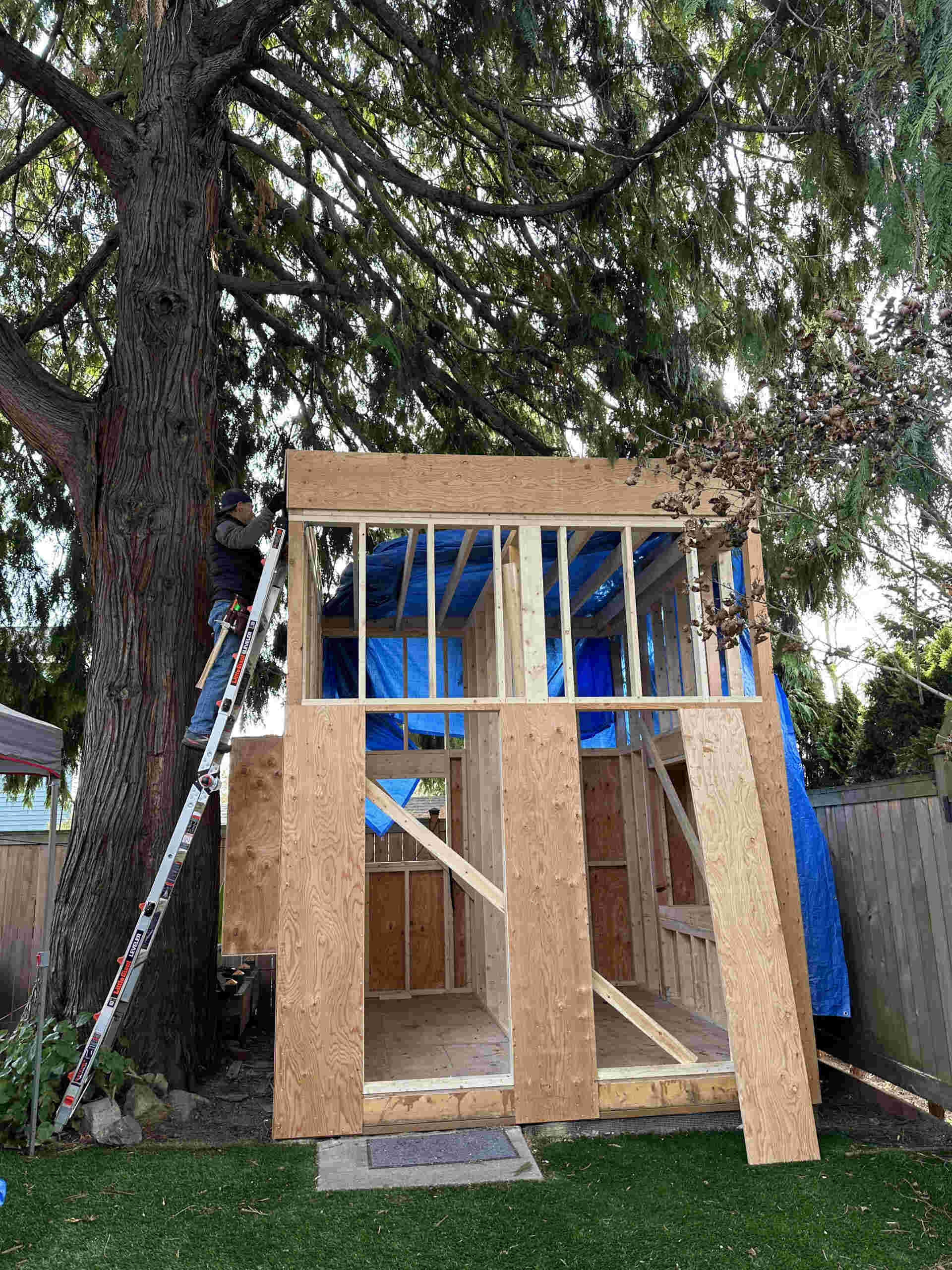 BEFORE - A behind-the-scenes look at how a Seattle family built their own backyard office from the ground up. From framing to finishing touches, this hands-on project shows how creativity and teamwork turned a simple shed into two bright, functional workspaces.