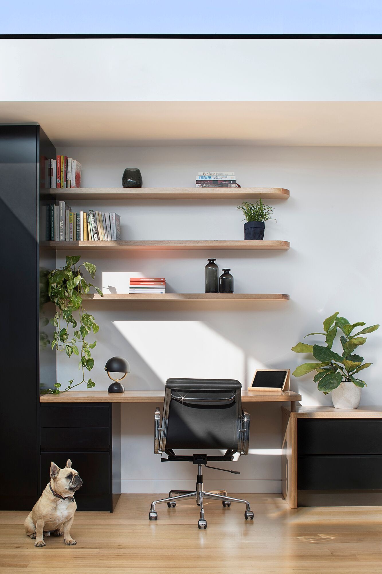 The home office desk runs seamlessly into the living area, transforming into an entertainment cabinet. Above it, floating timber shelves with softly curved corners echo the geometry of the clerestory windows.