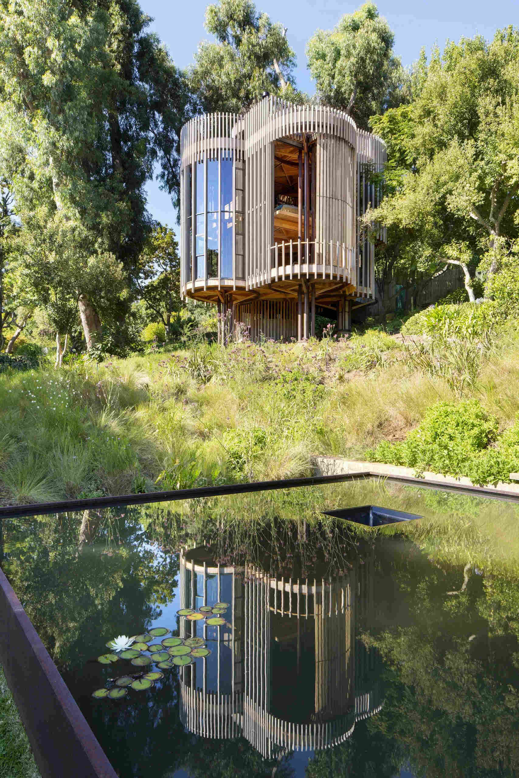 A tree house in Cape Town’s Constantia designed to weather naturally, blending untreated materials with the forest around it.