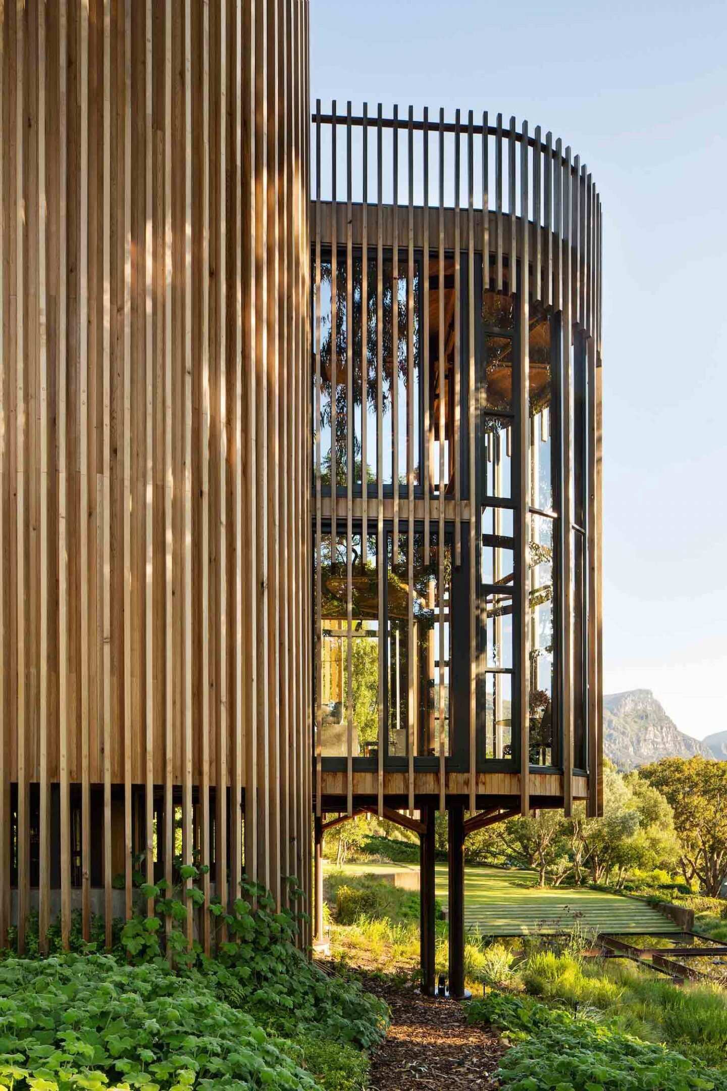 A tree house in Cape Town’s Constantia designed to weather naturally, blending untreated materials with the forest around it.