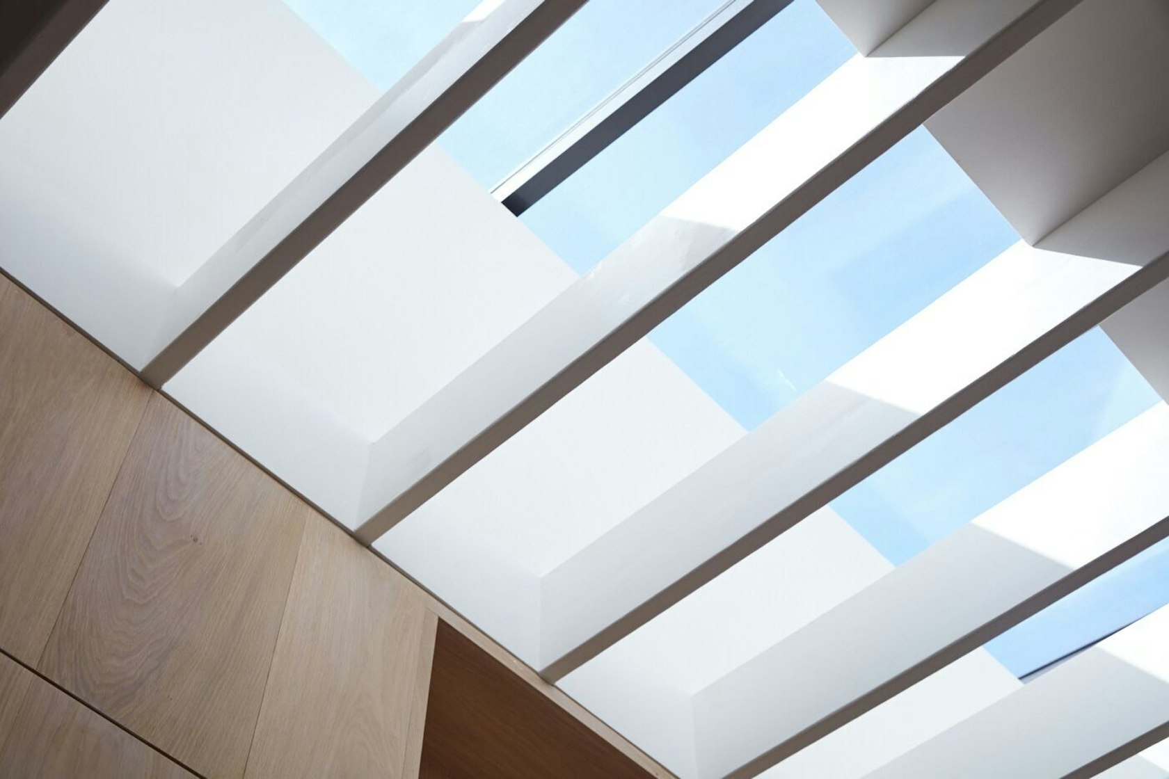 A long skylight spans the ceiling, filling this San Francisco backyard studio with soft, natural light that enhances every crafted detail.