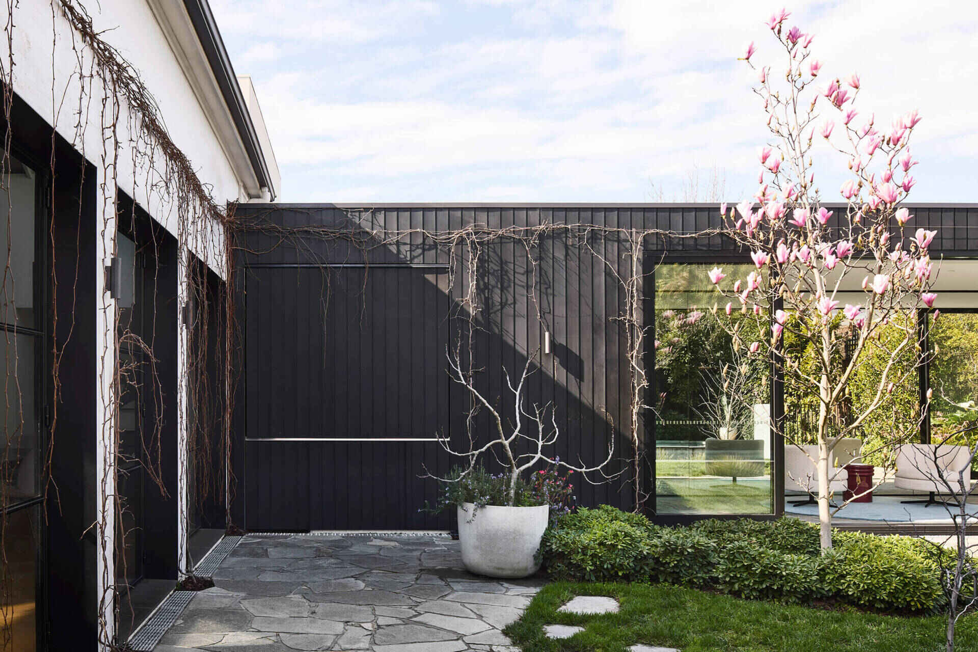 A patio and concealed BBQ blur the line between architecture and garden in this modern Australian home.
