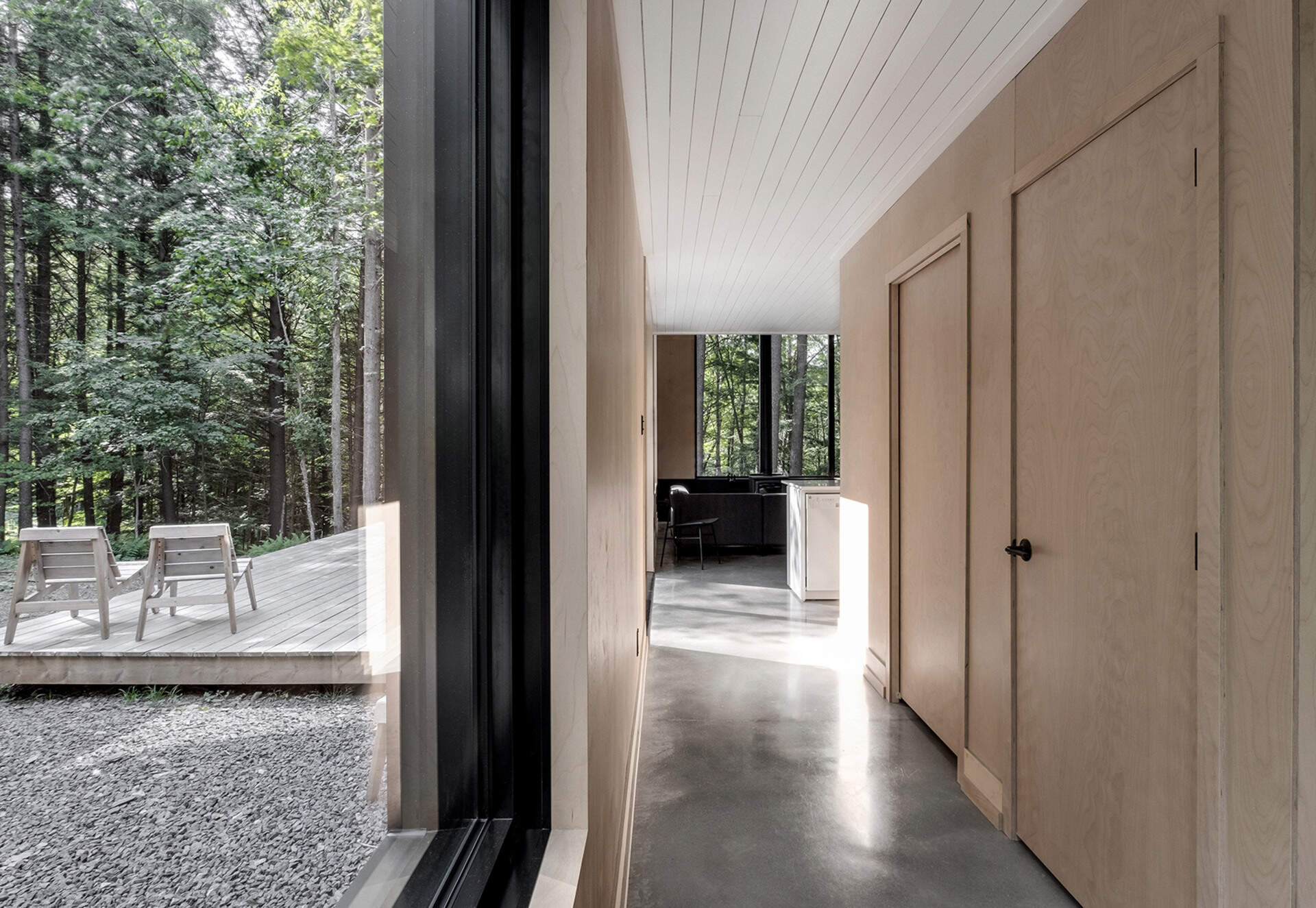 Windows line the hallway, framing serene forest views and flooding the minimalist interior with soft natural light.