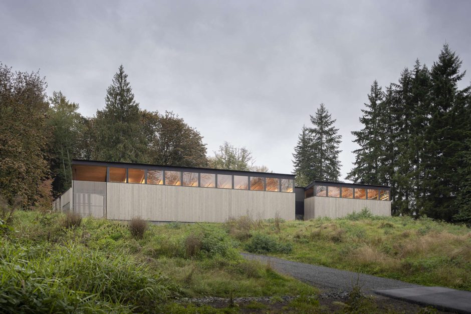 Secret garden revealed at the heart of this home
