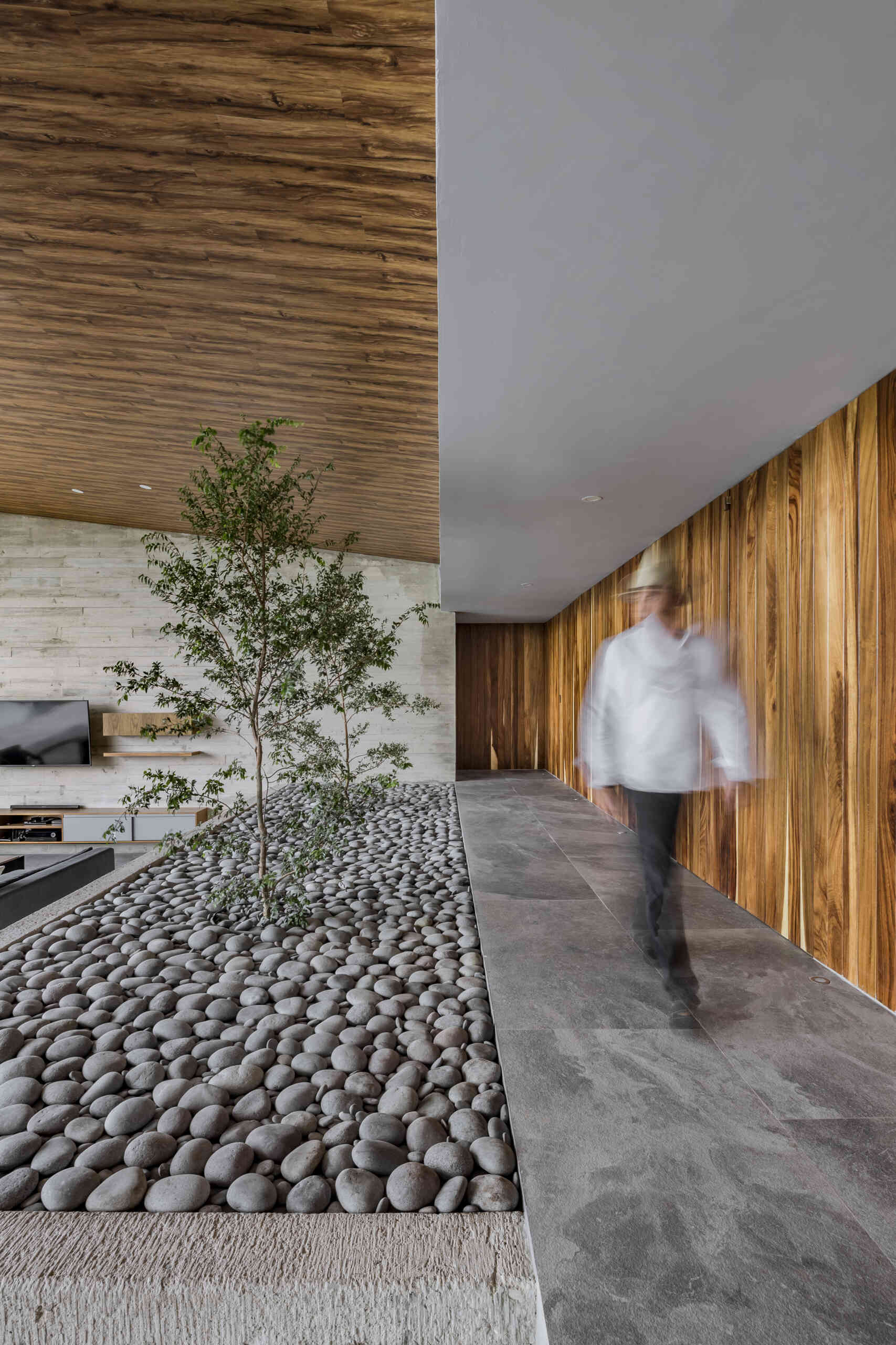 Inside Casa Lago, natural wood and sunlight create a welcoming contrast to the modern lines.