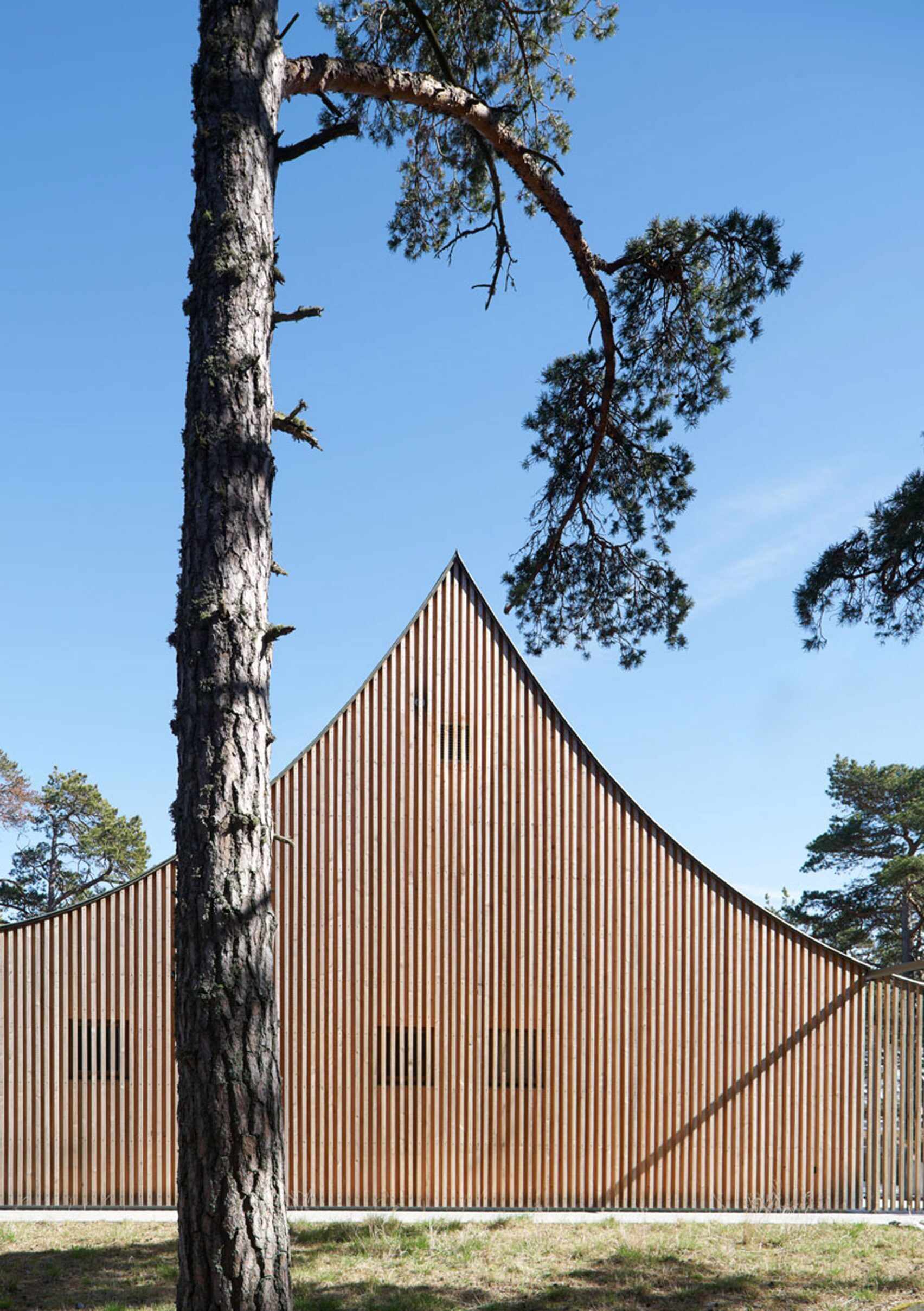 Set against the Baltic Sea, the cedar facade and curved roof of this island retreat create a timeless connection to the rugged Scandinavian landscape.