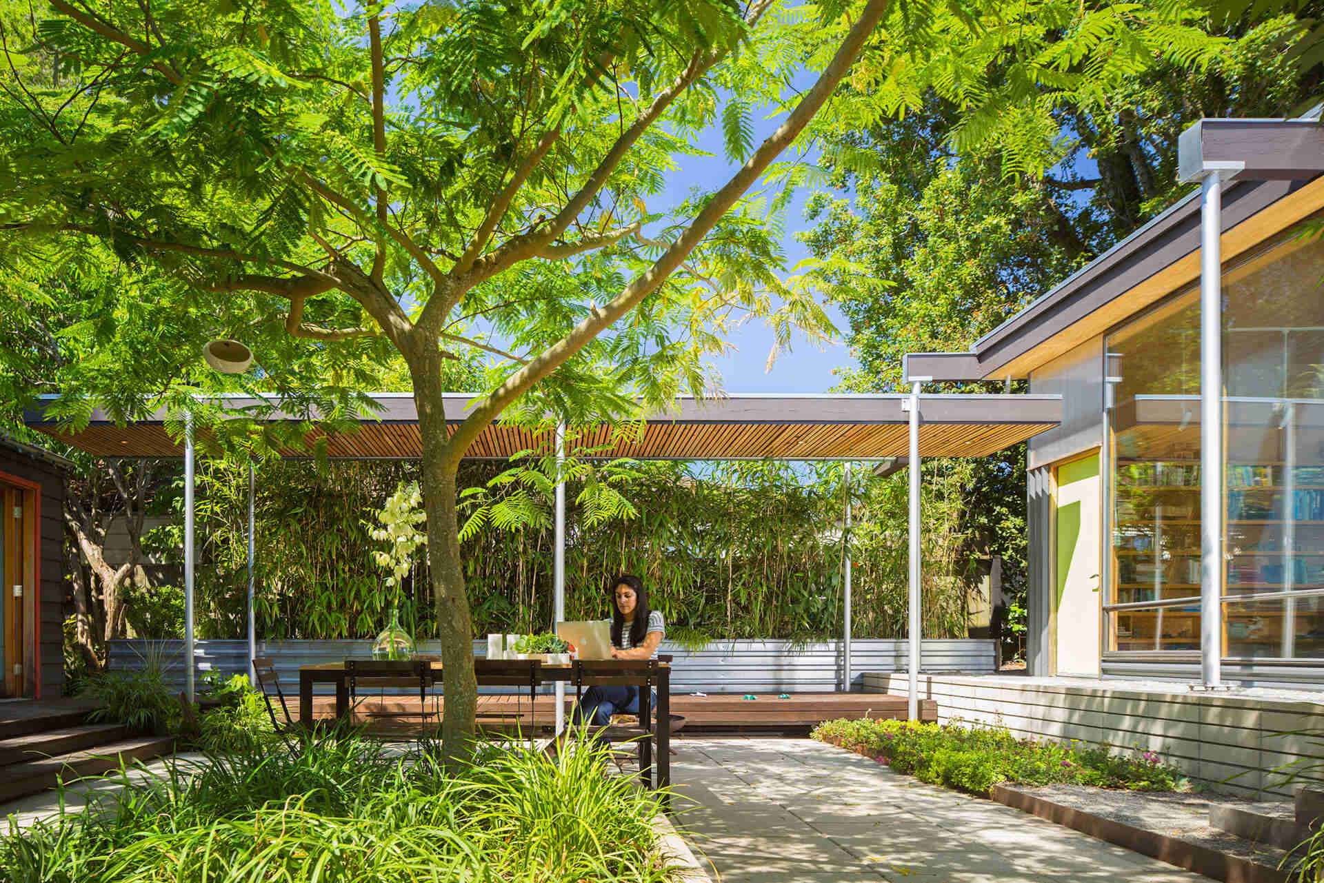 A family friendly courtyard with a Silk tree creates a calm outdoor room for year round enjoyment.