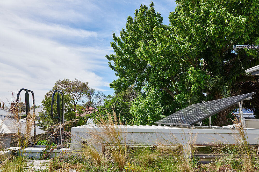 Solar panels and a green roof work together to reduce energy use and create a more efficient, insulated home.